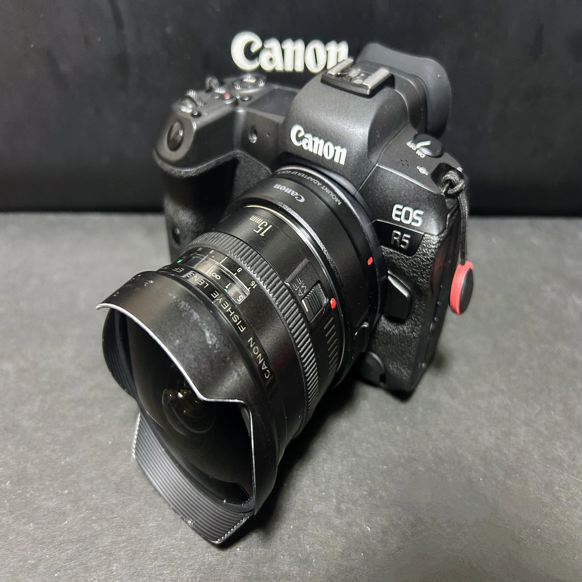 Canon EF15mm F2.8 FISHEYE LENS 魚眼レンズ｜??????