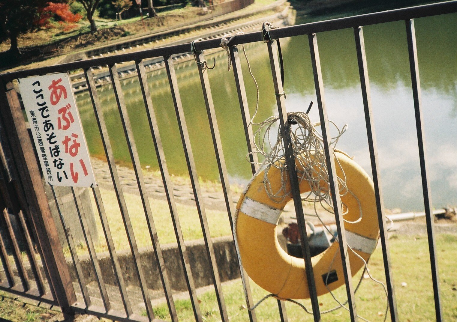 KONICA C35 Flash maticの撮影見本｜ごん色カメラ