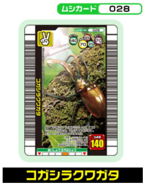 ムシキングで憧れていたクワガタをチリに探しに行った話｜Jake