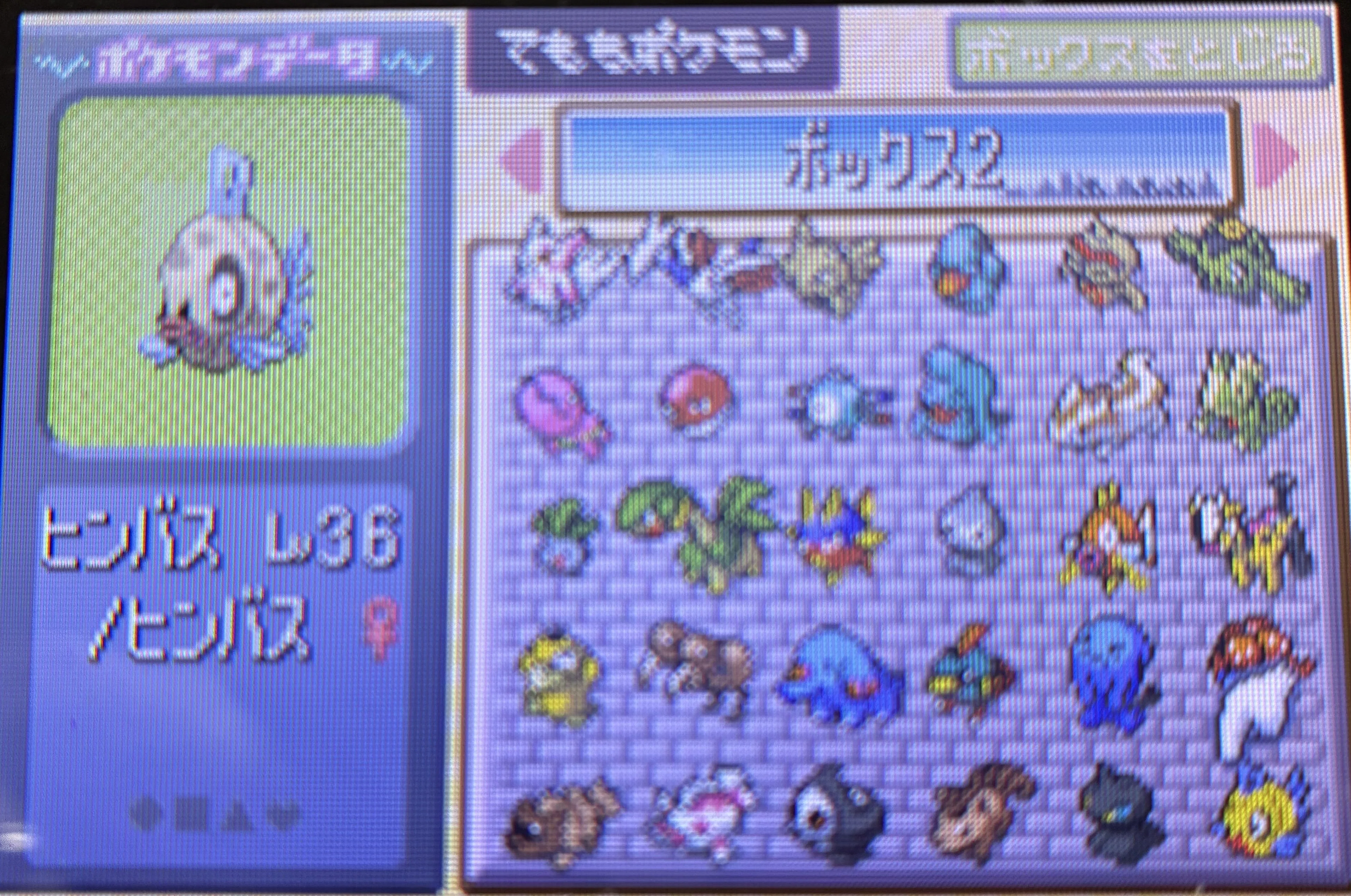ゲーム日常 進化をすごく感じる！？ ポケットモンスター ルビー
