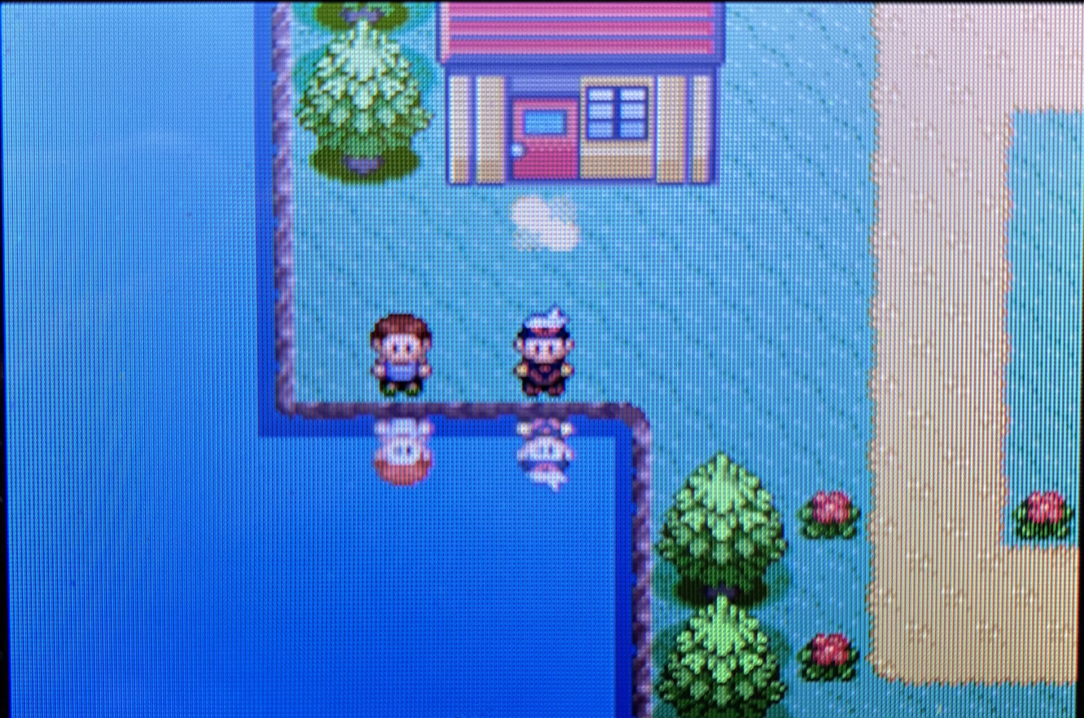 ゲーム日常 進化をすごく感じる！？ ポケットモンスター ルビー