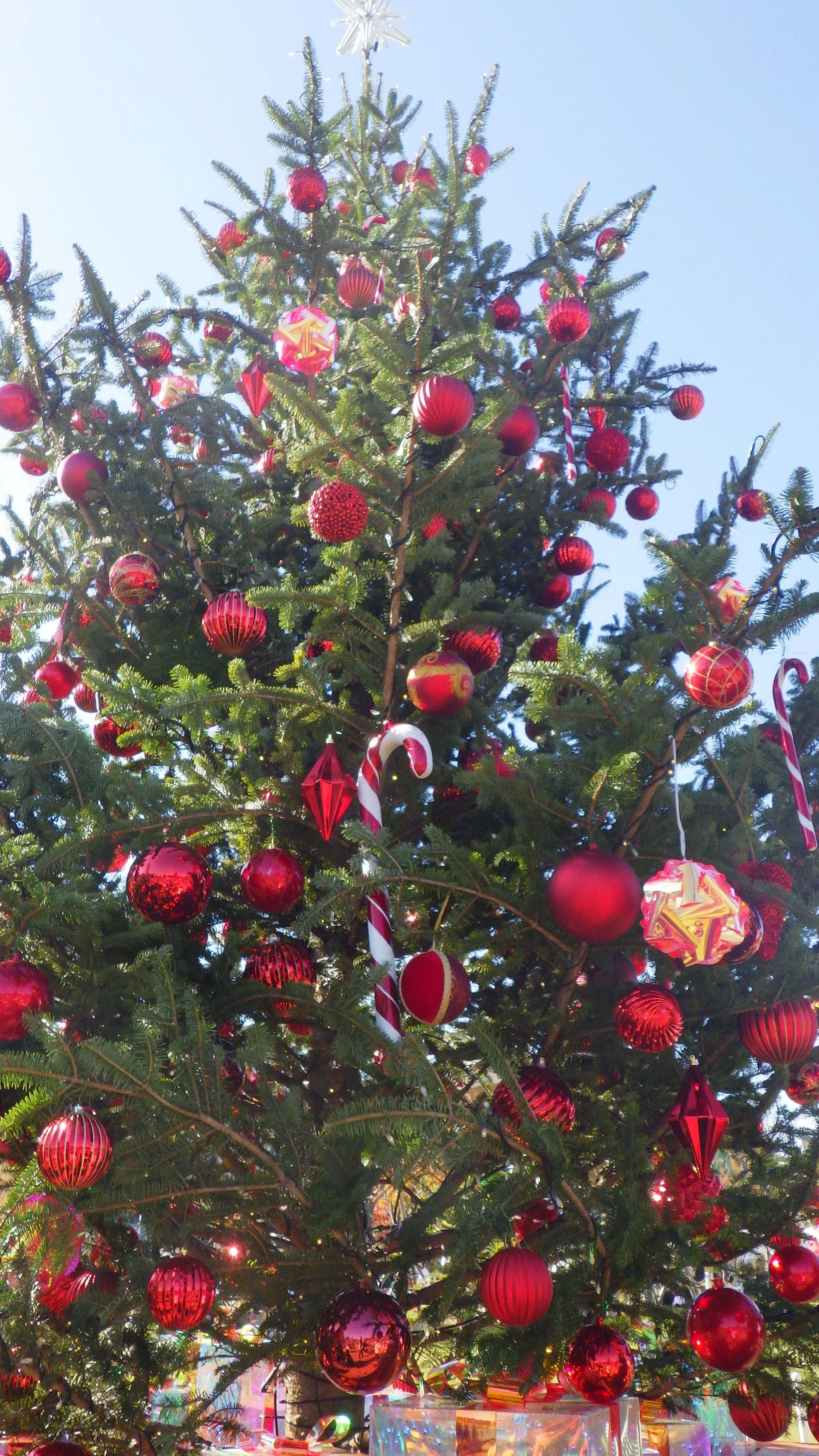 てんしばのクリスマスマーケットでサンタのカヌレや海老のフリッター等