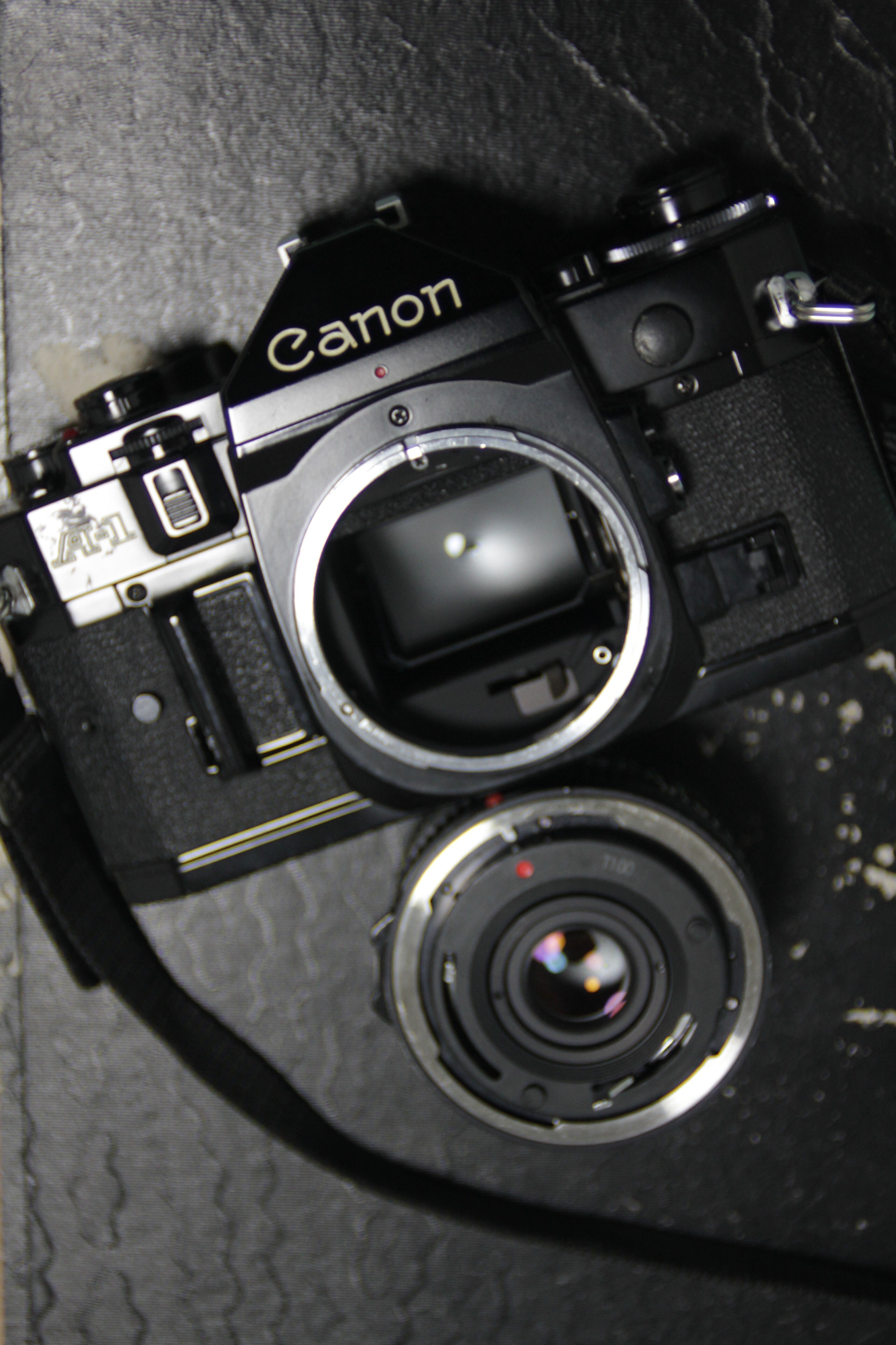 CANON A-1を買いました。｜永瀬喜久