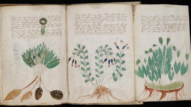 100日のアートブック 74日目 「ヴォイニッチ写本の謎」ゲリー