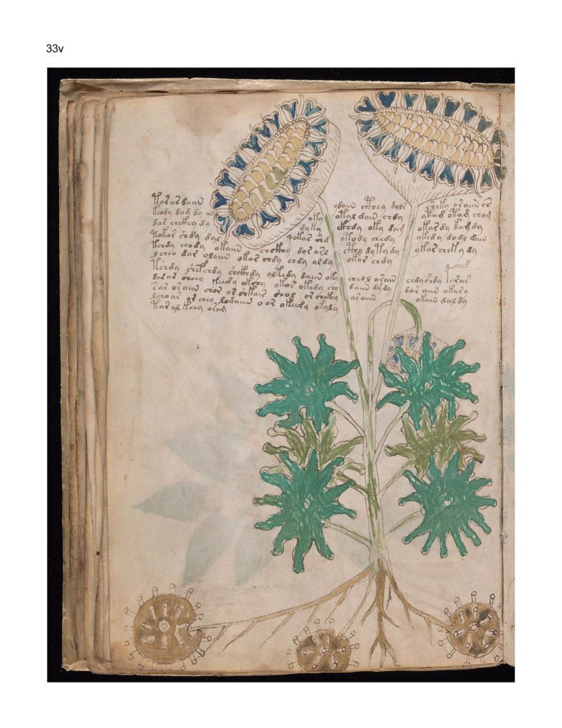 100日のアートブック 74日目 「ヴォイニッチ写本の謎」ゲリー