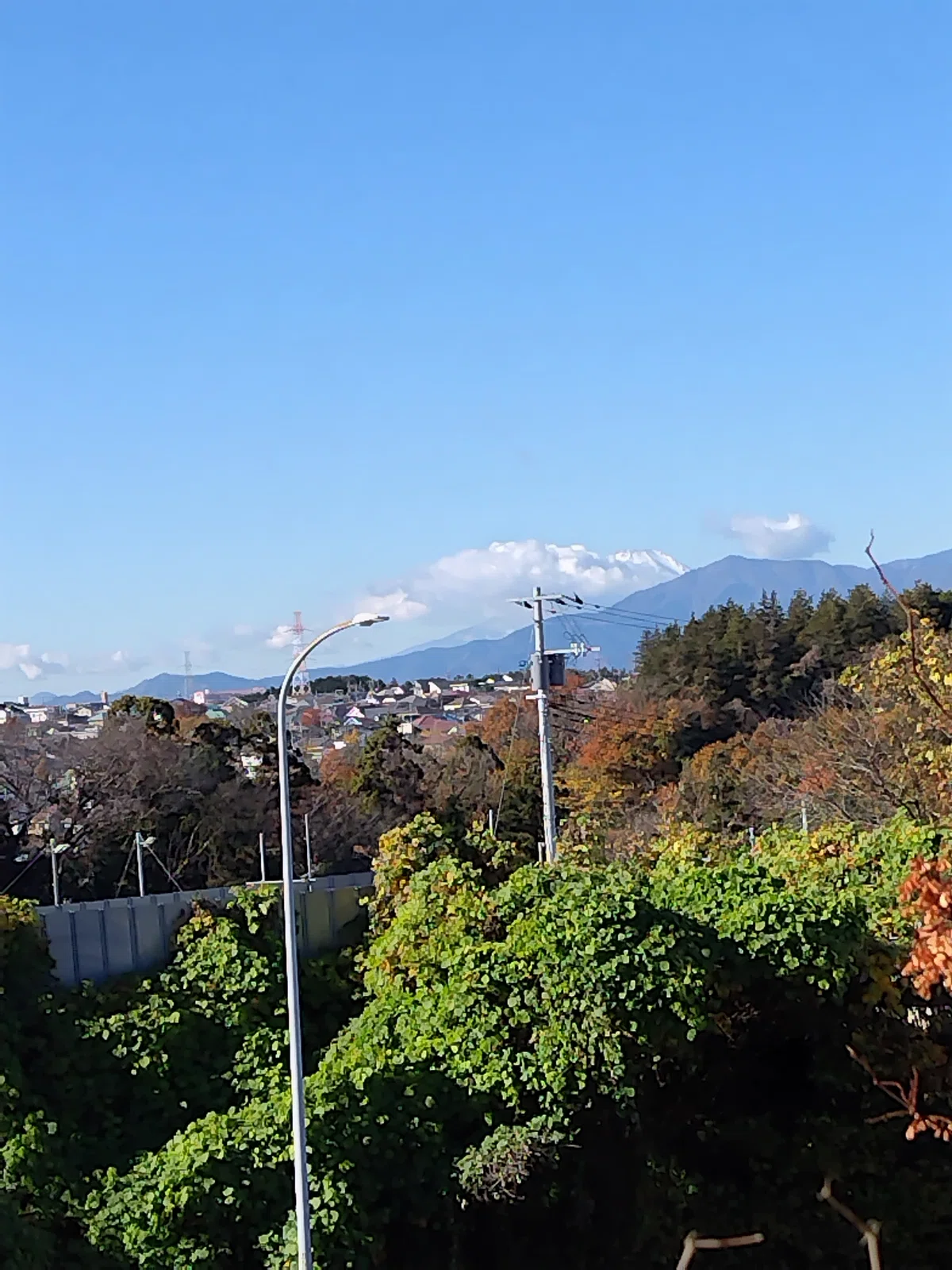 2025.12.04神奈川県横浜市旭区今川公園の風景|PD’sFactory