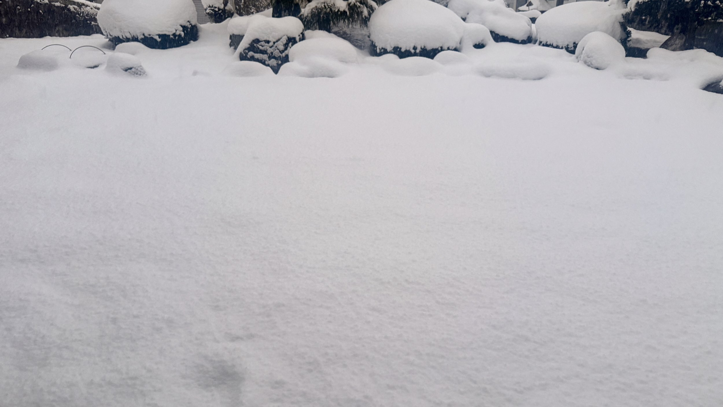 雪めっちゃ降った｜思考ログ：2025年12月4日｜観音クリエイション