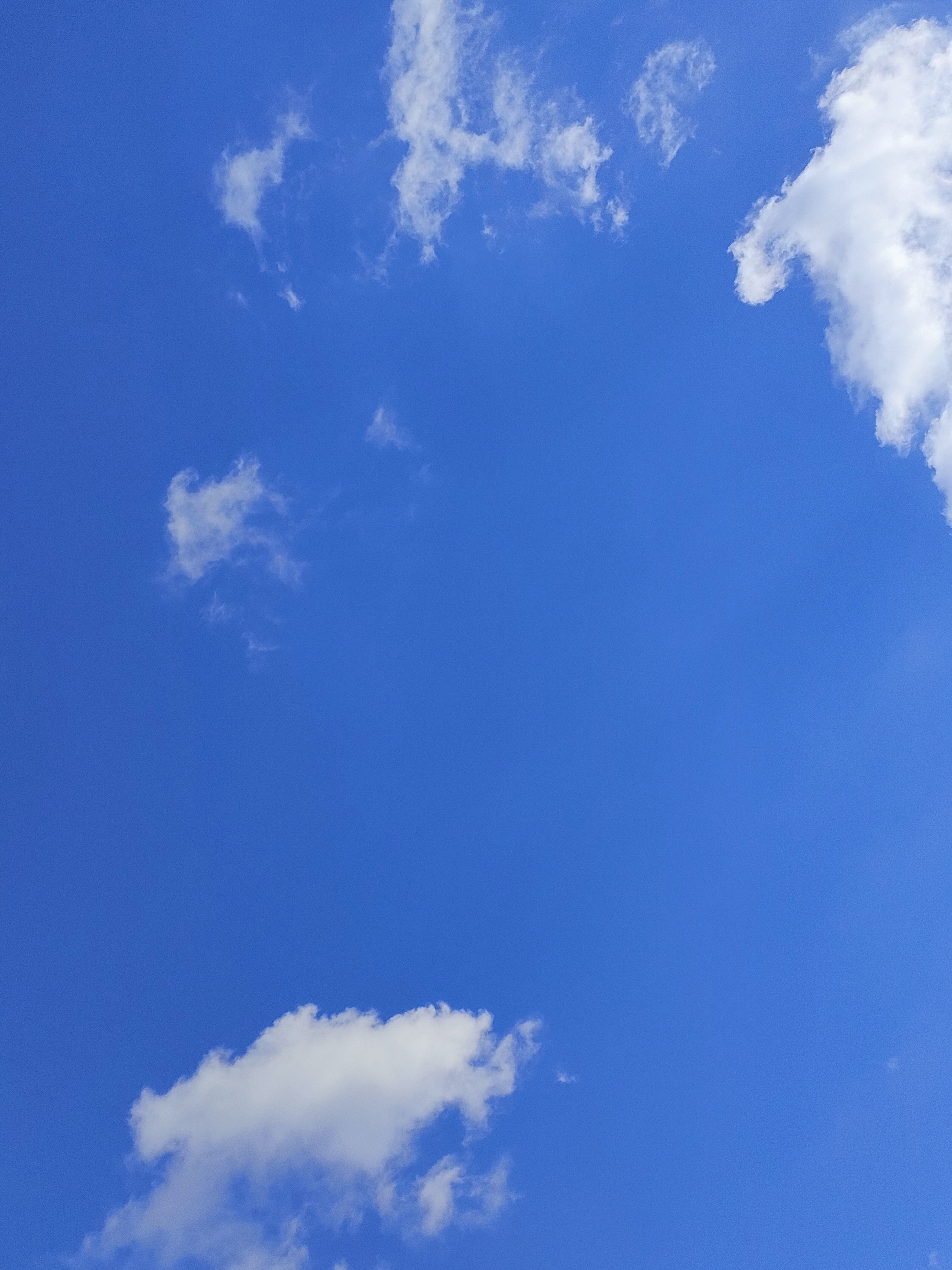 青い空の白い雲🌤 A white cloud in the blue sky｜ソラノイロ