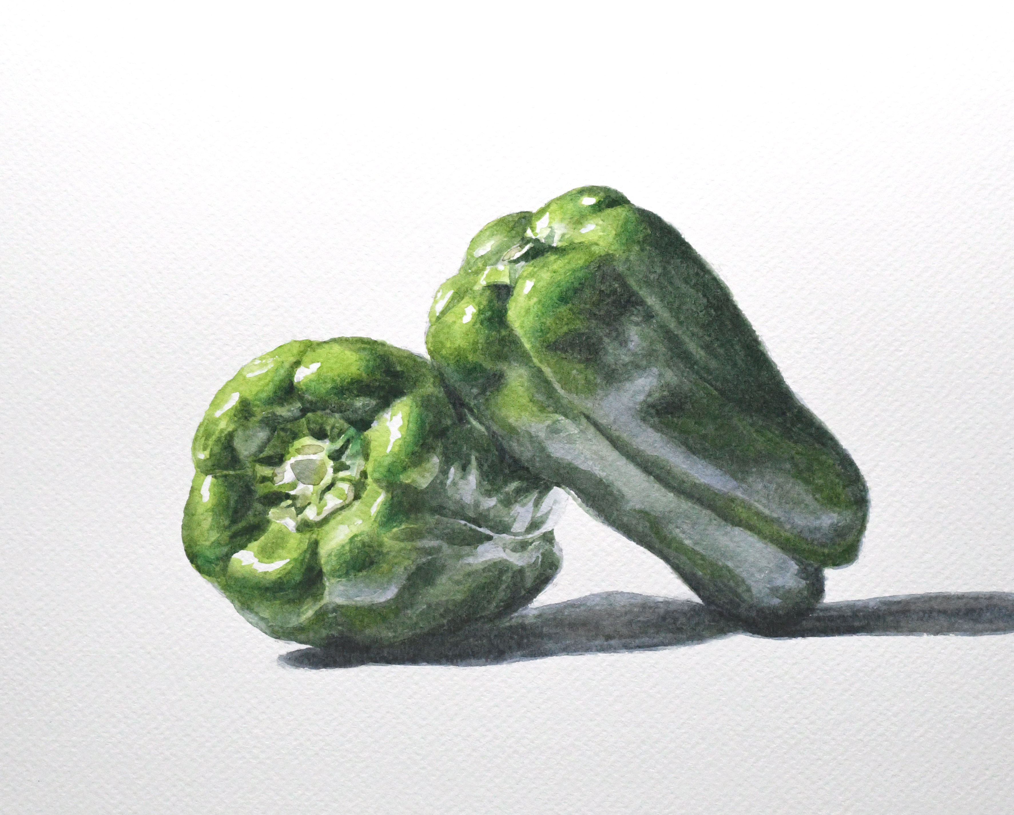 簡易版]実物を観察して描く水彩画の描き方｜Naoya Ohtani