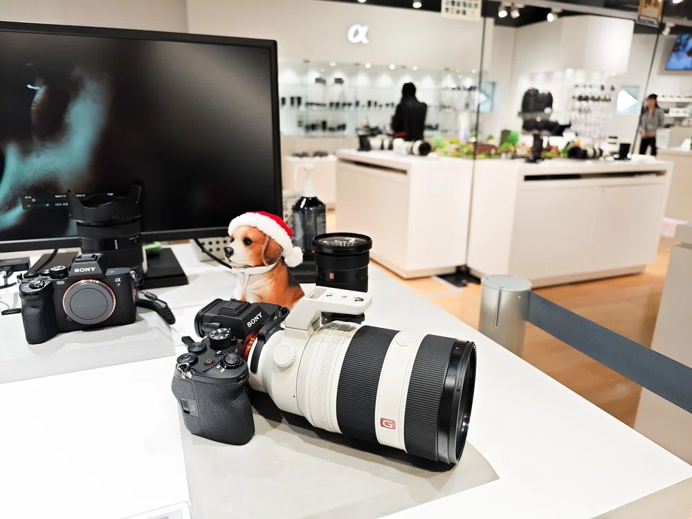 SONY α7 V』 α7IVで十分？ SONYの新カメラ 購入前レビュー