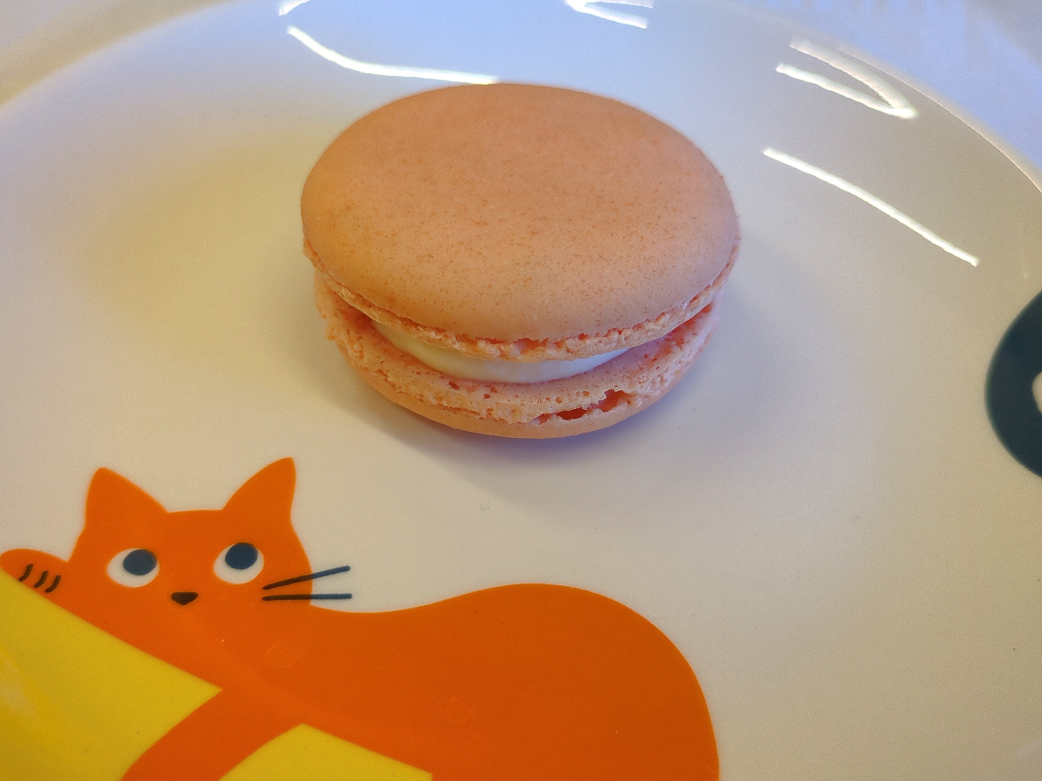 マカロン様 三者三様マカロン｜三谷乃亜