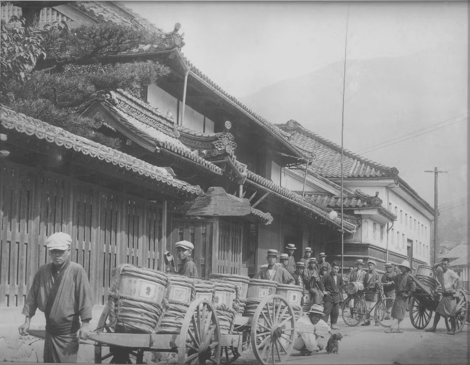 愛媛県の蔵から発掘されたのは、半世紀を生きた秘蔵酒だった。11万円の