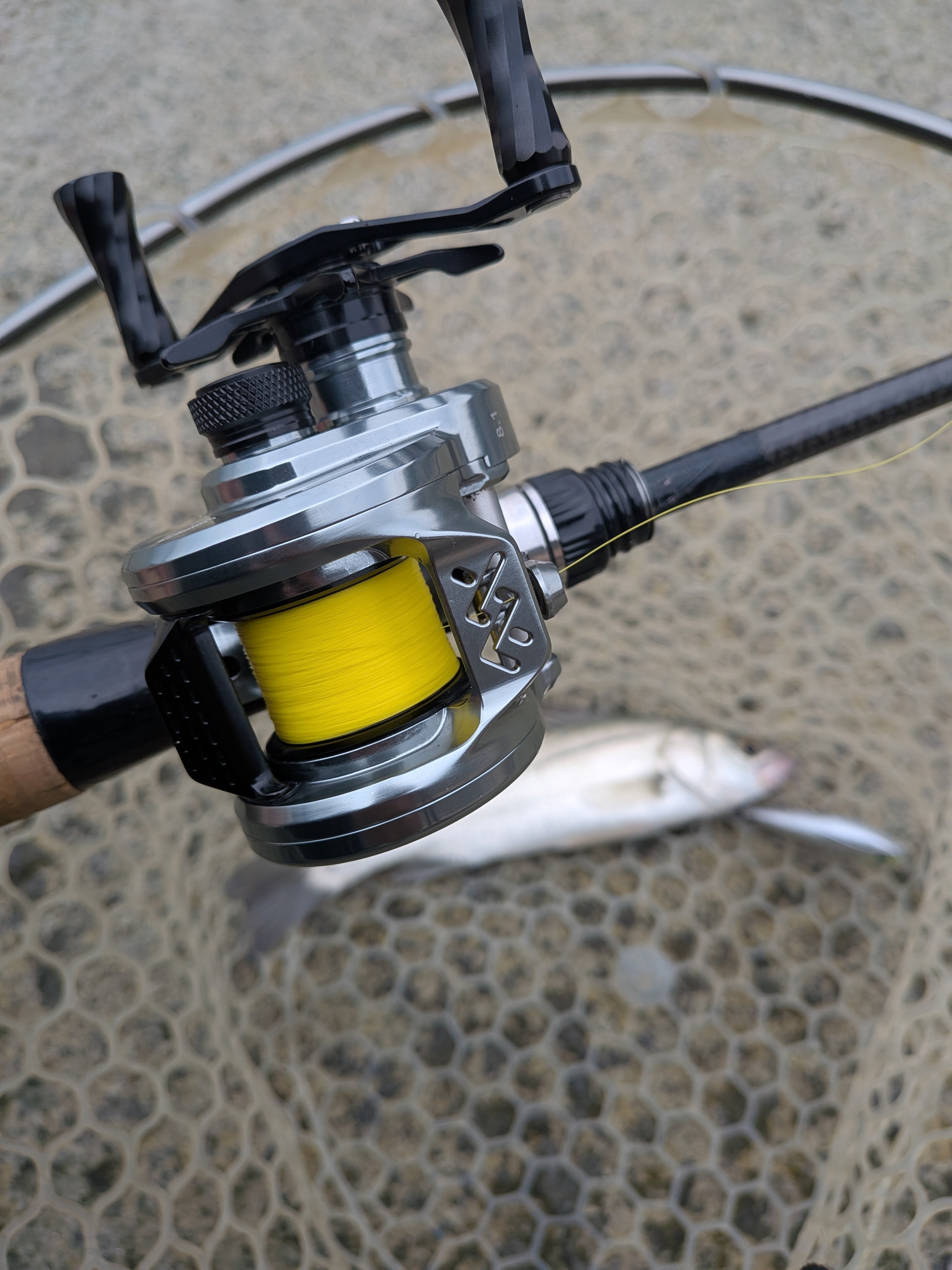 Loongze Airlite B70/B71 MBS XG インプレ｜後輩@釣り人