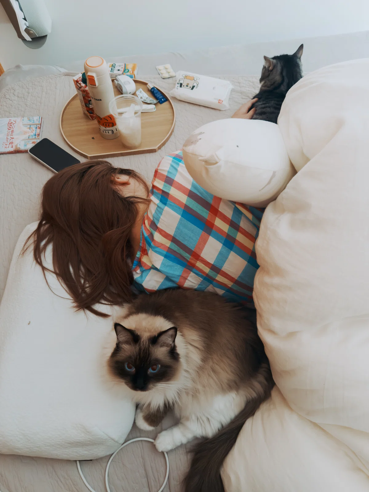 つわりで何もできずただ横になっているおちゅりに寄り添う二匹の猫