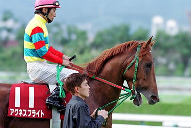 エアシャカール三冠にもっとも近づいた二冠馬｜かず