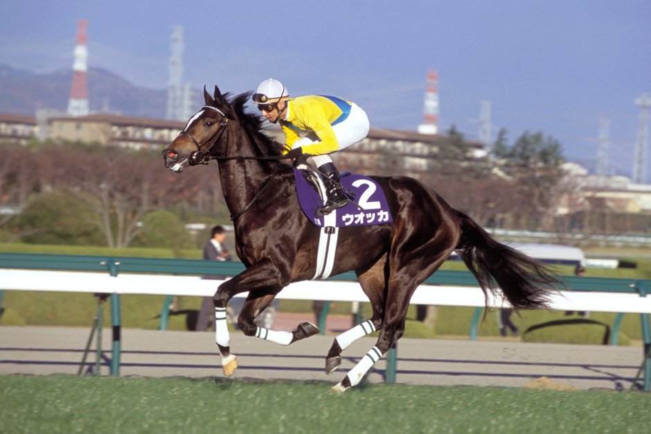 エアシャカール三冠にもっとも近づいた二冠馬｜かず