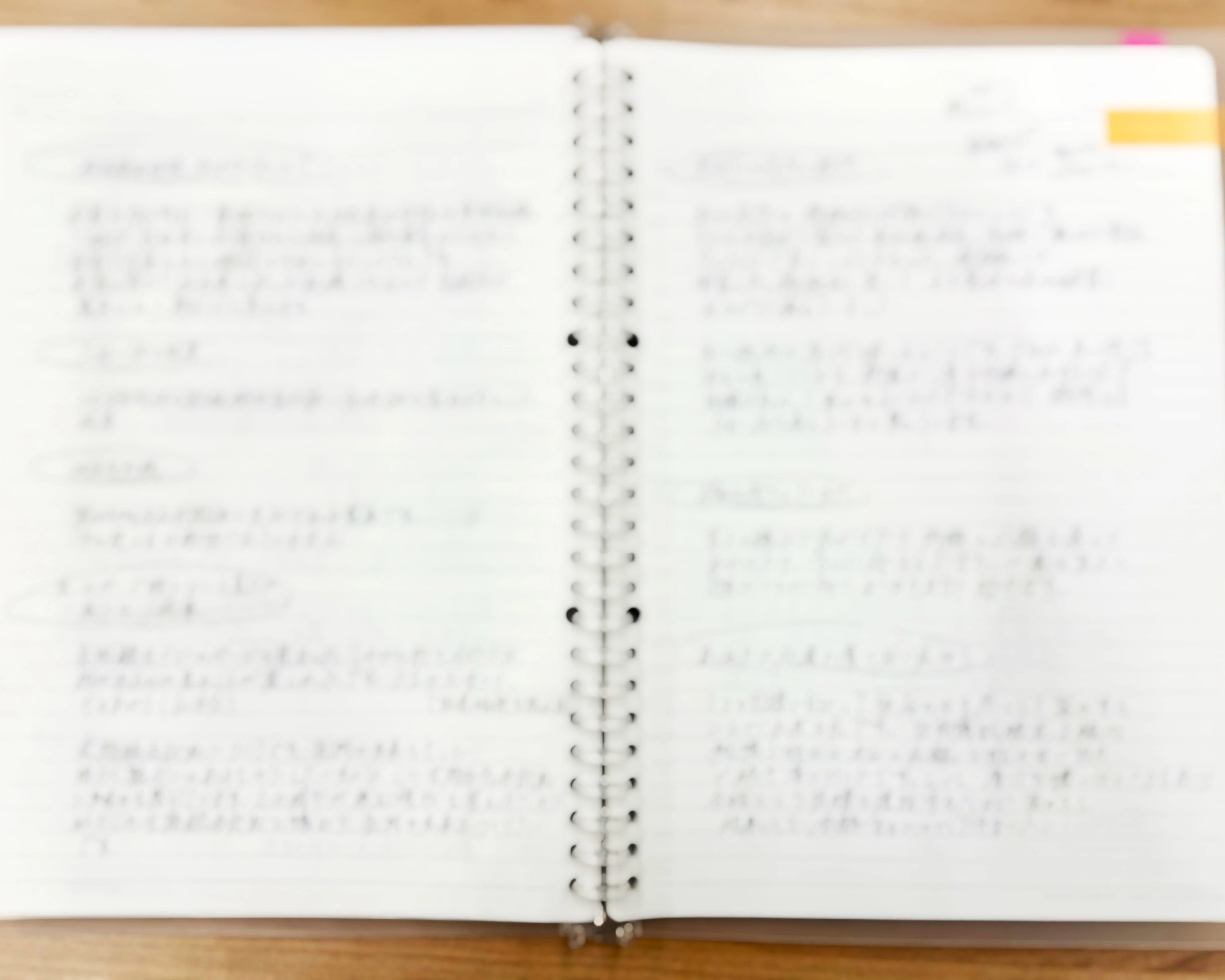 公務員試験、お疲れさま！-学生たちの頑張りを写真で振り返る- | 長岡