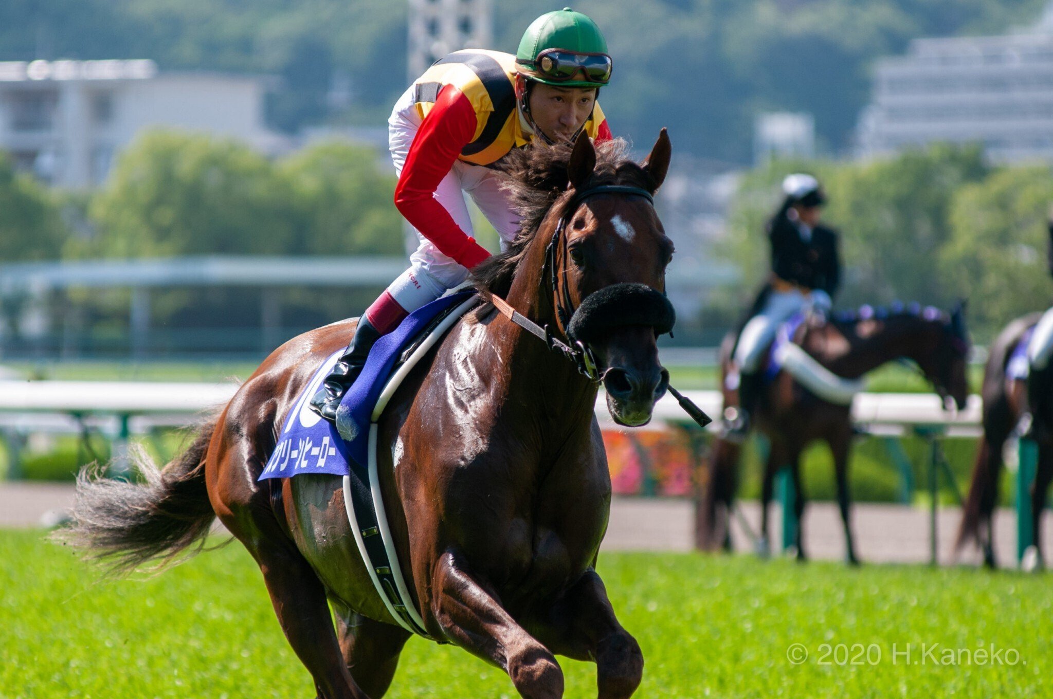 エアシャカール三冠にもっとも近づいた二冠馬｜かず