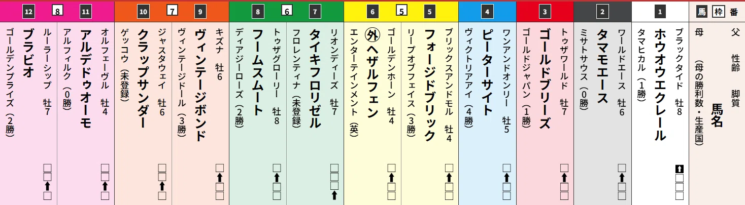 2025.12.6（土）中山8R・イルミネーションジャンプステークス 予想14