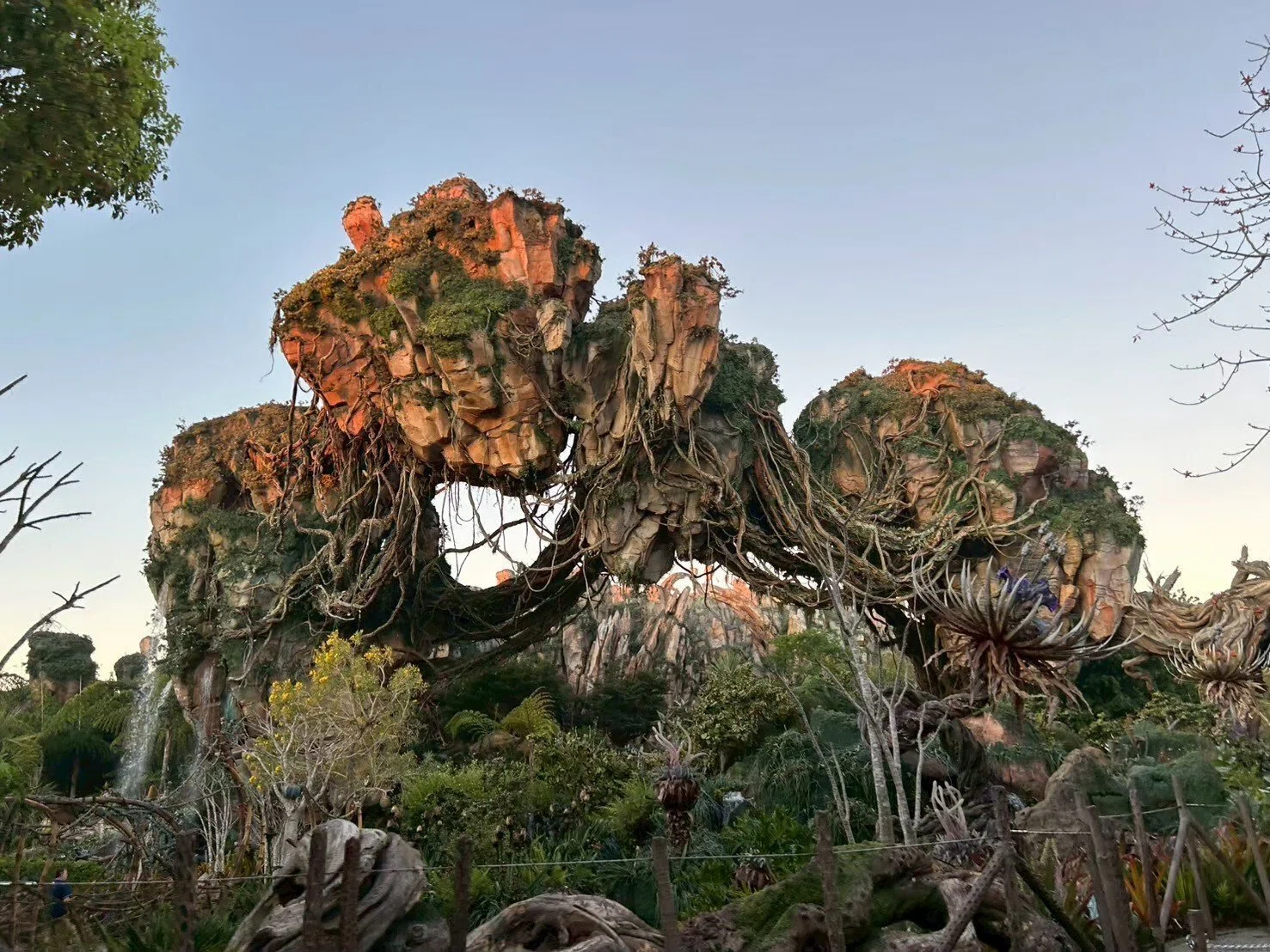 新婚旅行WDW体験記〗初めてのフロリダディズニーで「これ知ってたら