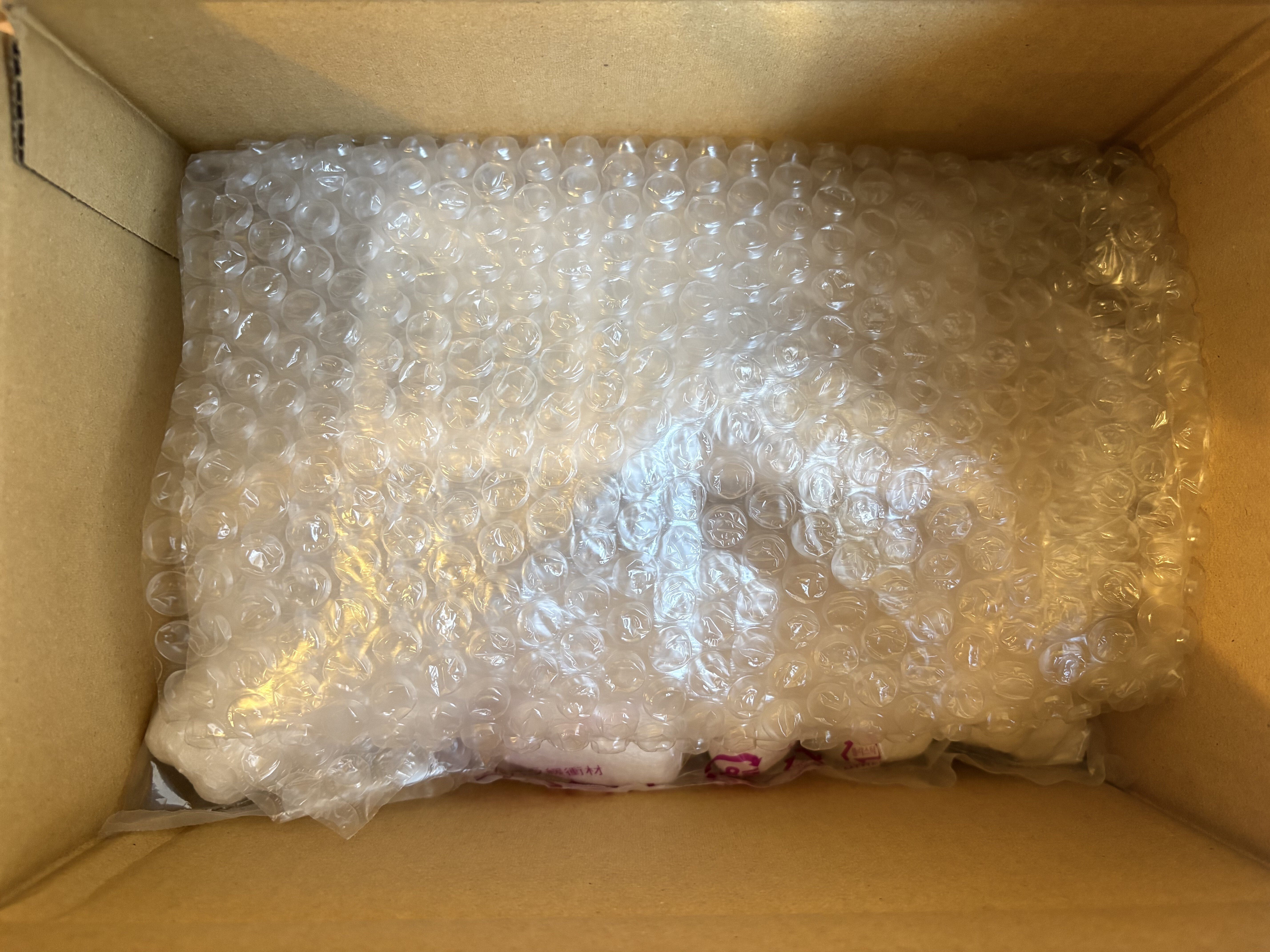 カメラの話］ FUJIFILM X-E5のリコール問題、不安なので無償点検に出