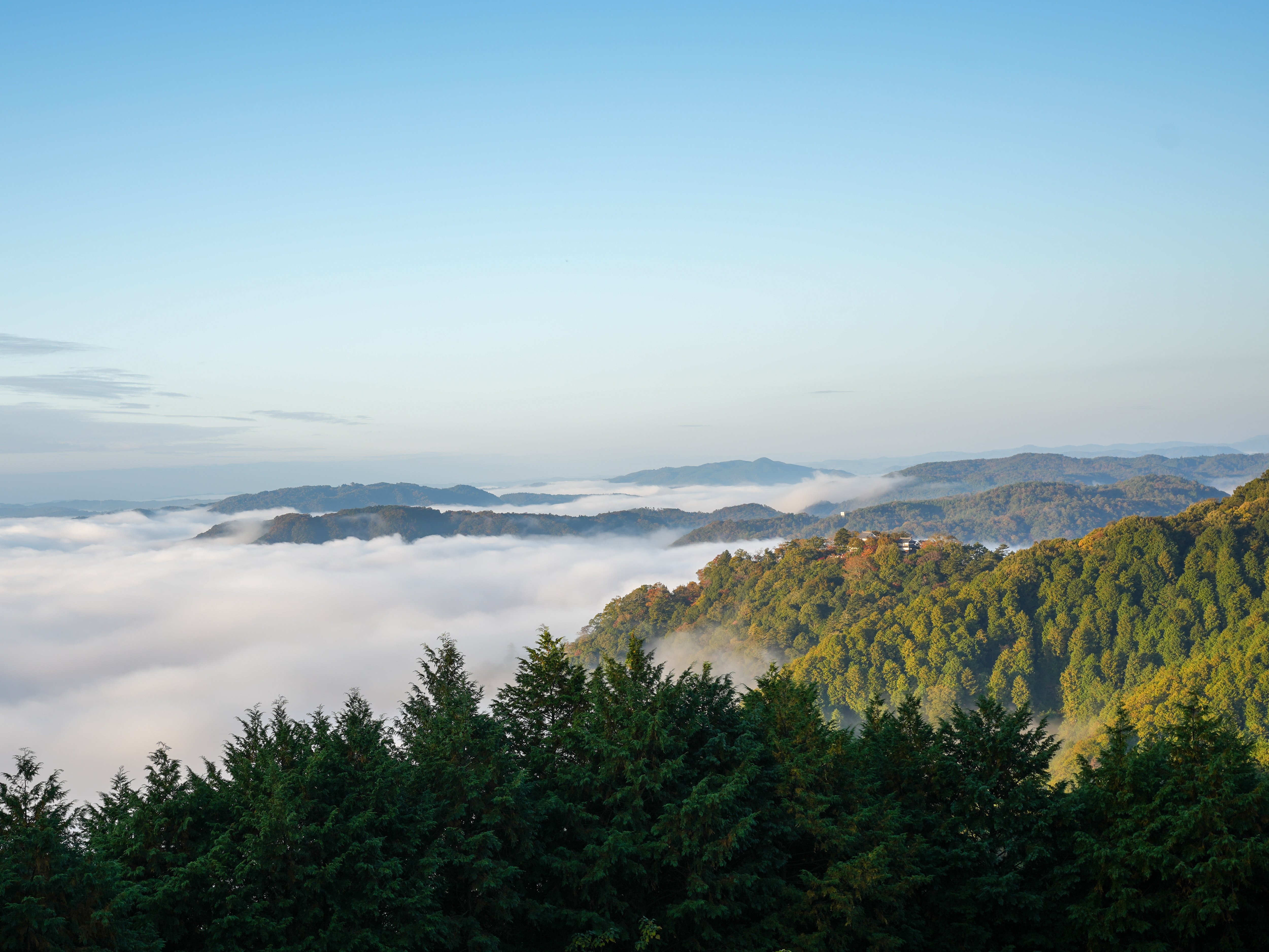 備中松山城をめぐる】なぜ天守は現存したまま山上に残されたのか