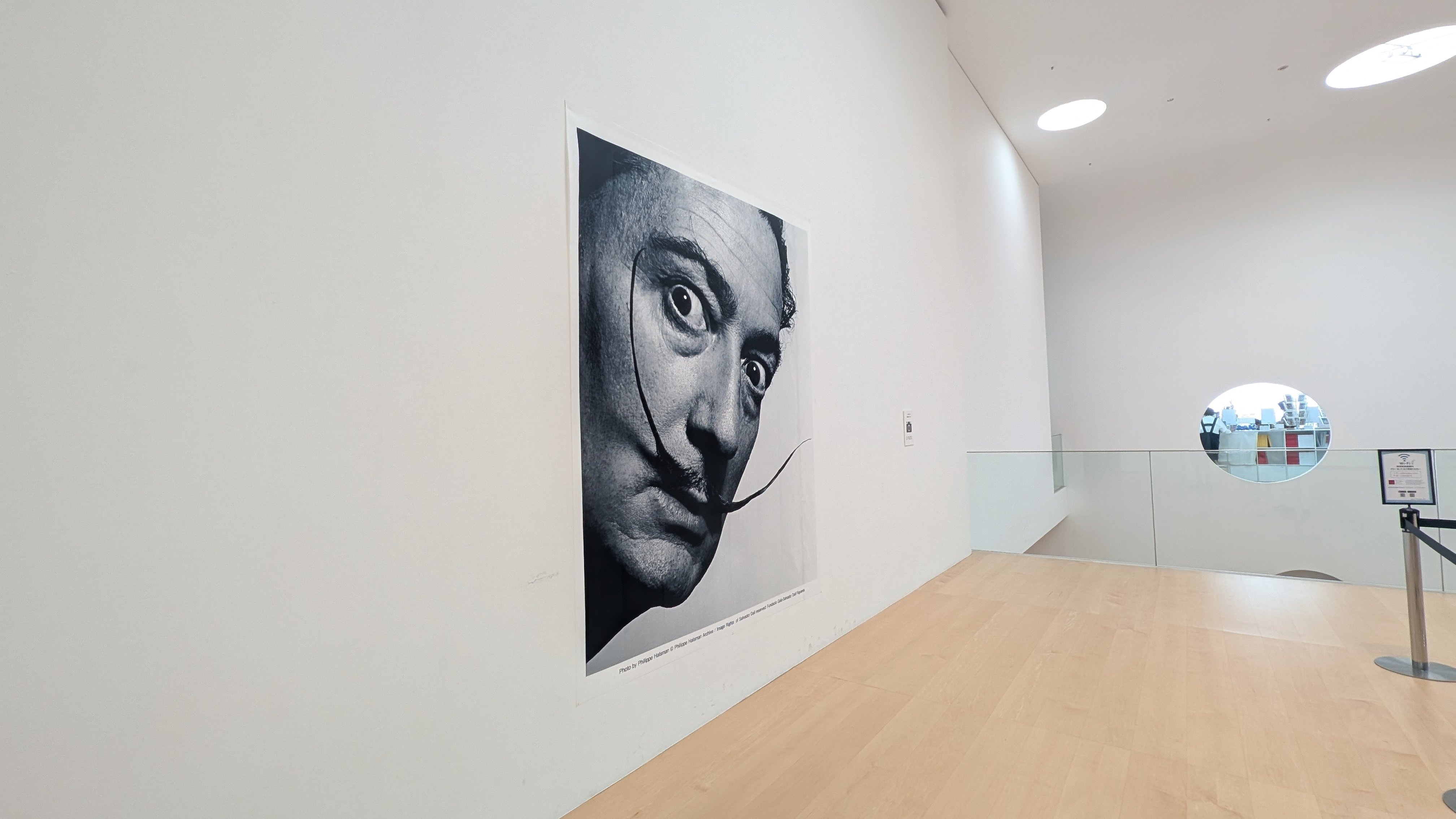 生誕120周年 サルバドール・ダリ―天才の秘密―』@横須賀美術館(2025年3