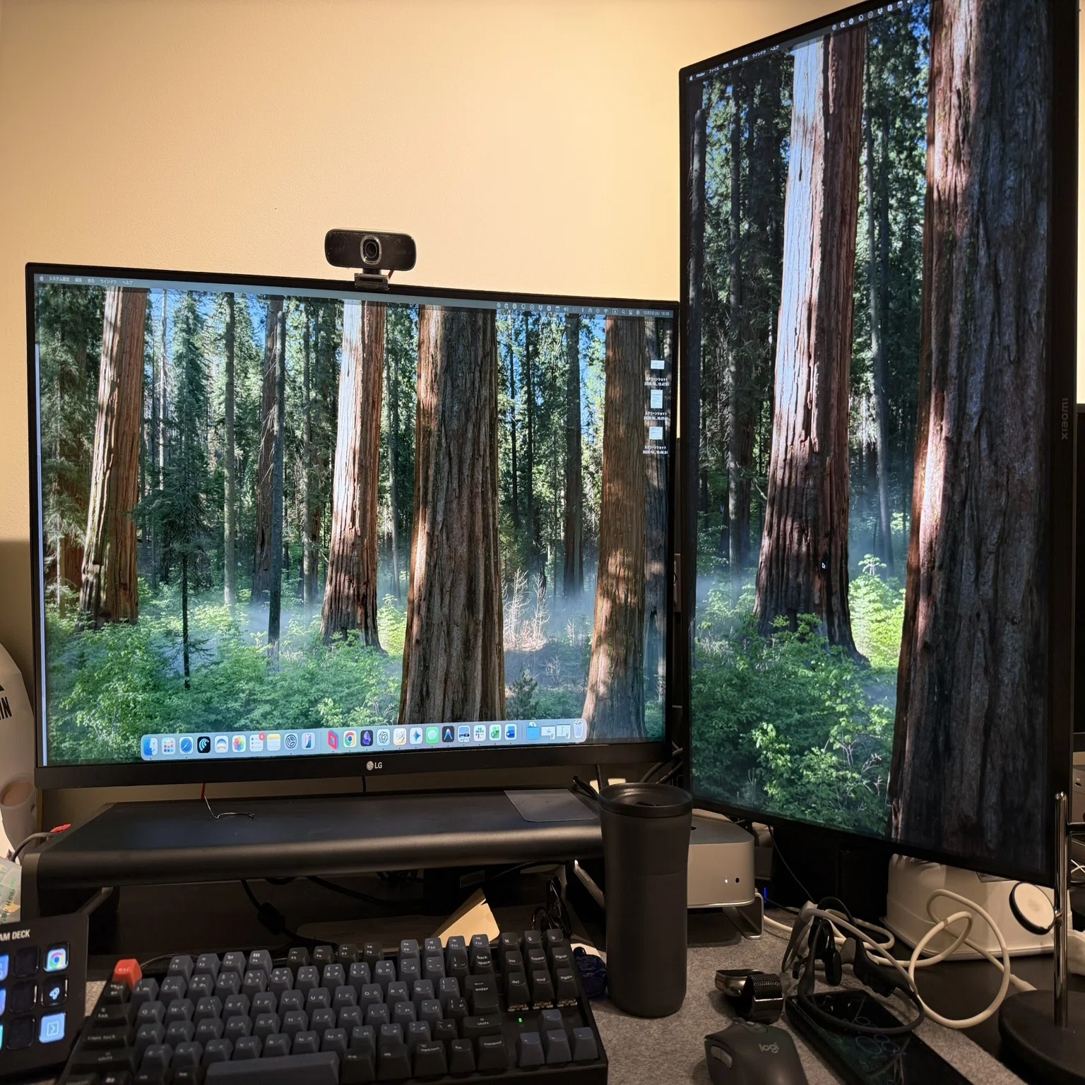 BlackFriday(2025)購入：4K 31.5インチモニター(LG / 32UR500K-B 