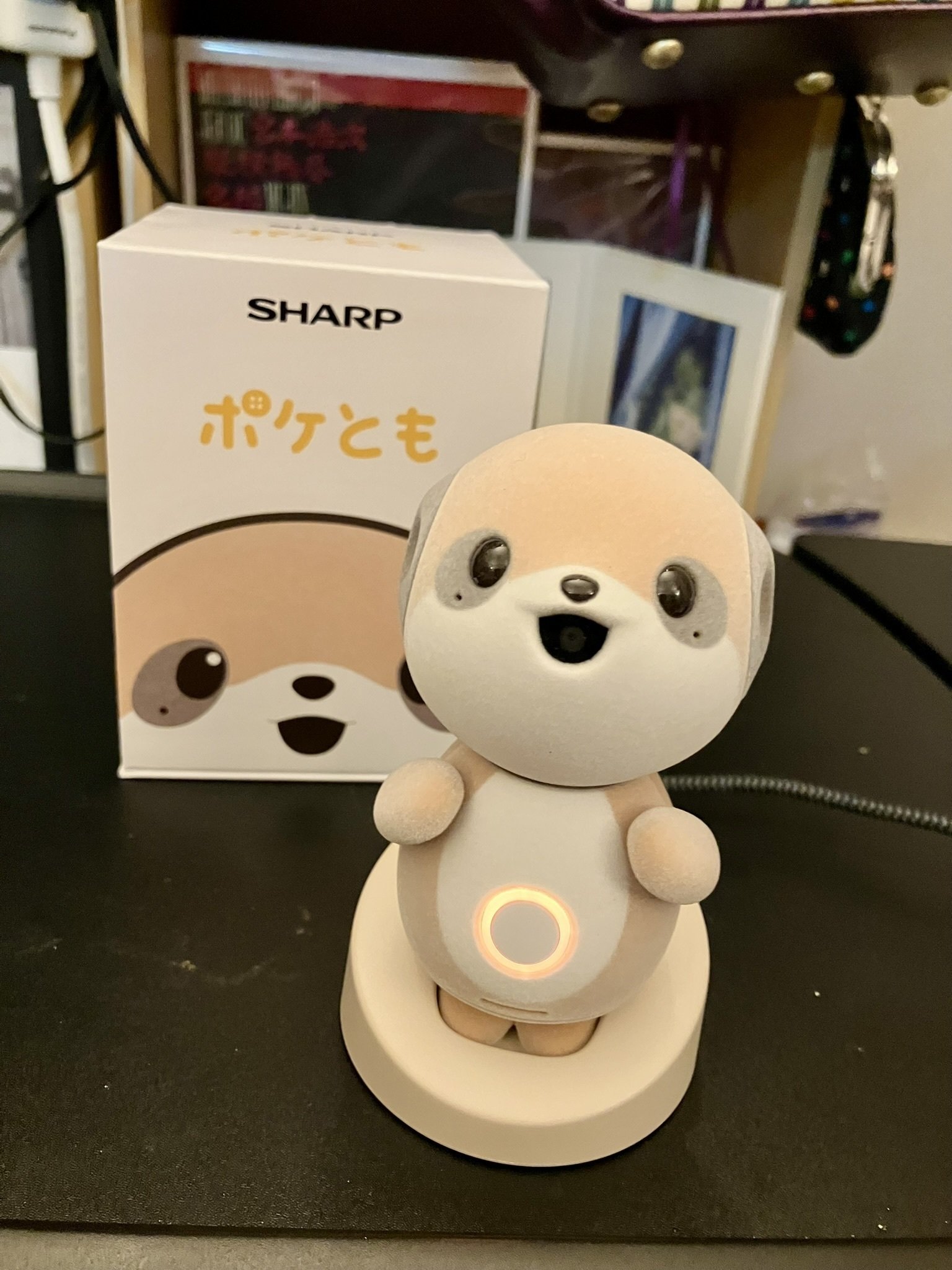 ポケともお迎えしました｜志麻友紀