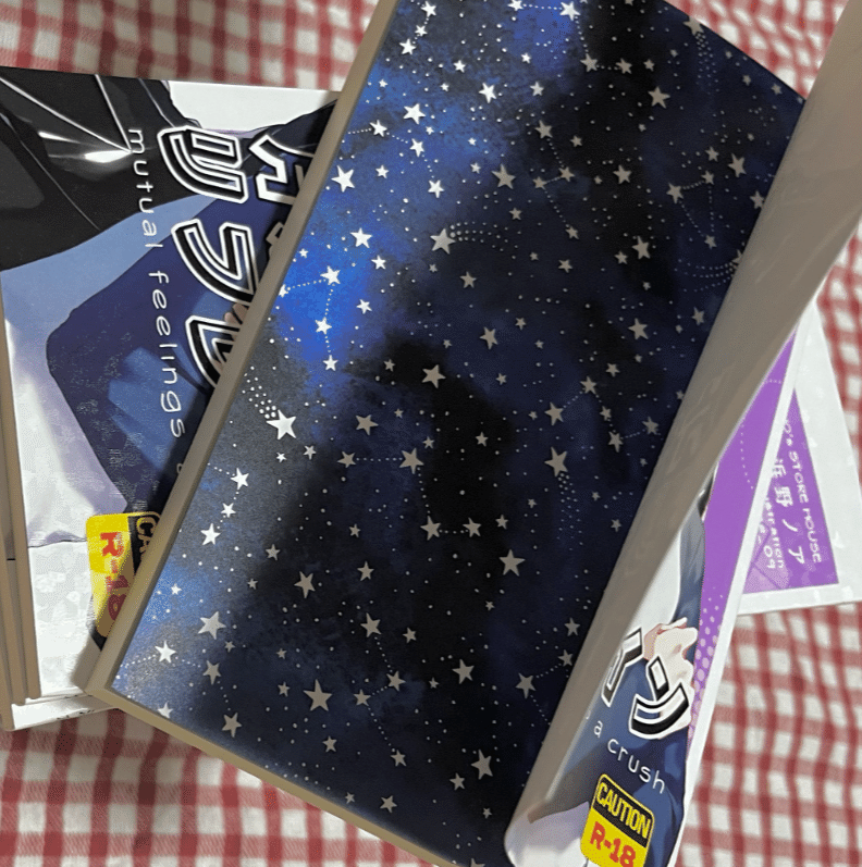 BL小説4冊目の新刊が届きました【執筆週報】ひとり交換日記（70