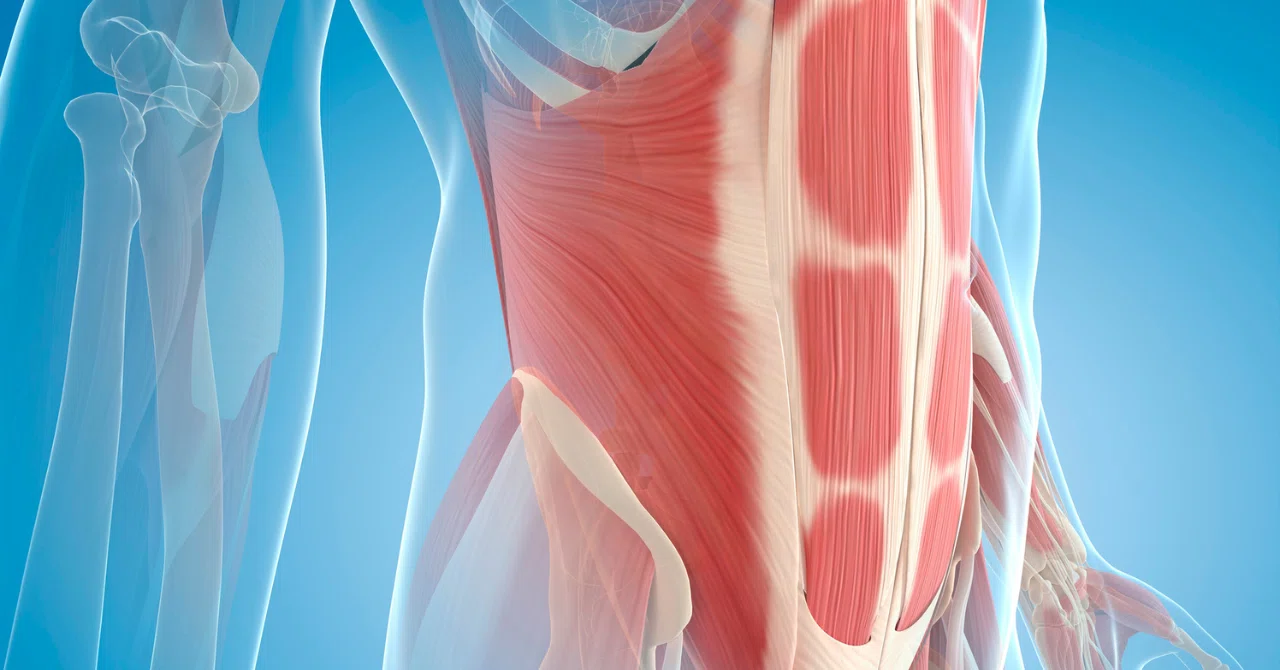 What the Scale Doesn't Tell You! 4 Real Health Revolutions Brought by ...