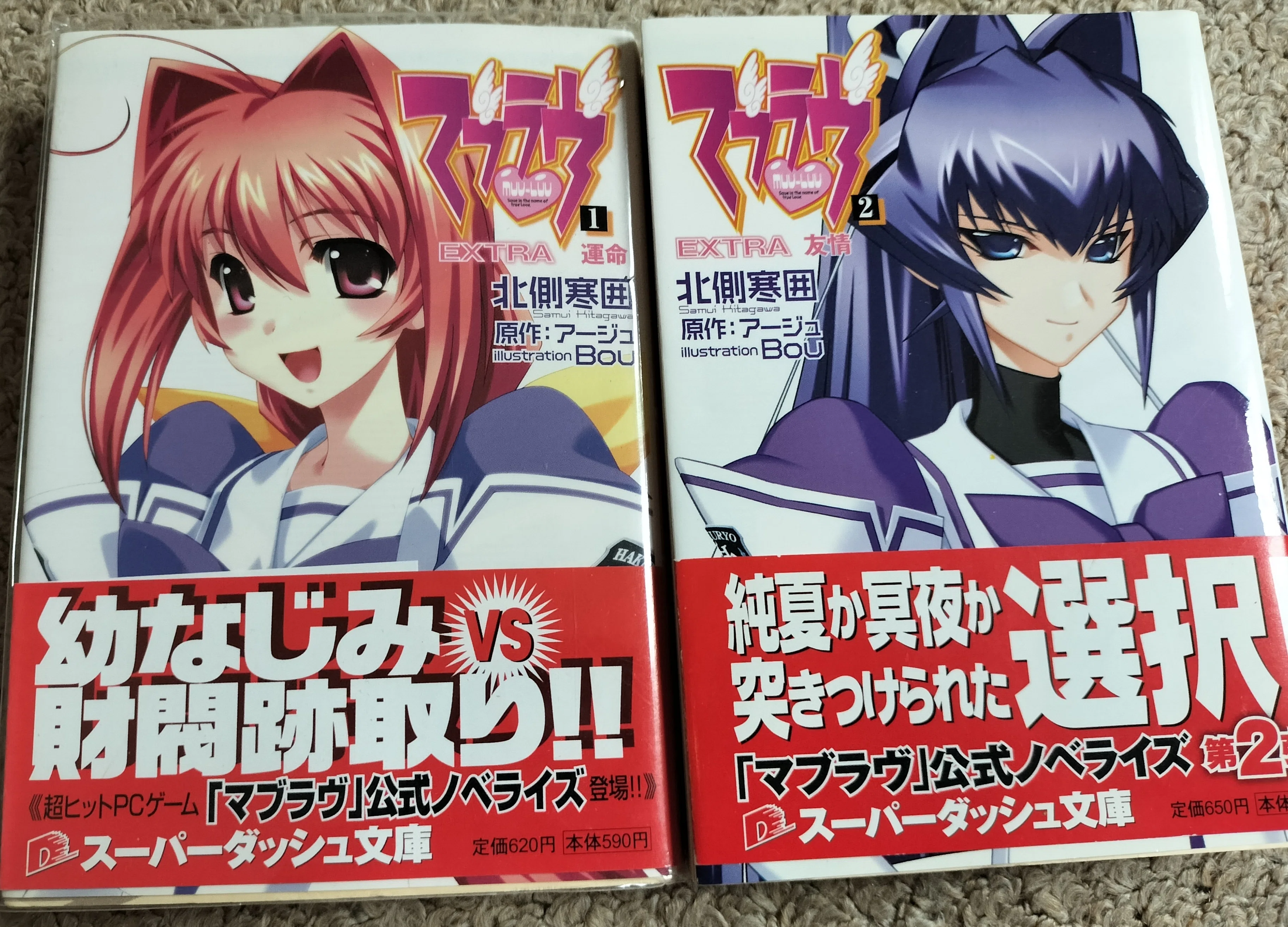 まるで資料集）貴方も手に入れられるかも！？マブラヴ公式設定資料集の