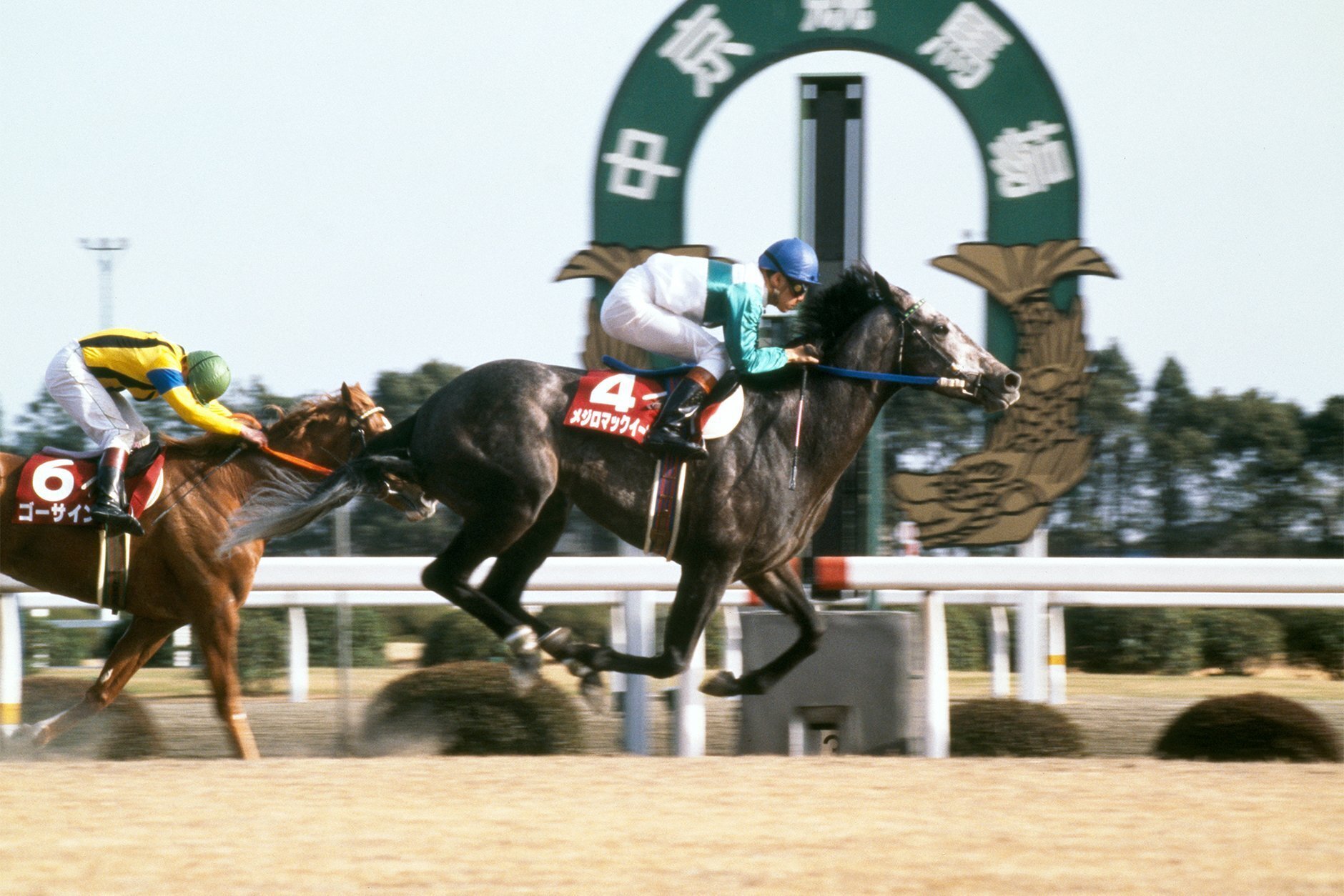 メジロマックイーン芦毛の最強ステイヤー｜かず