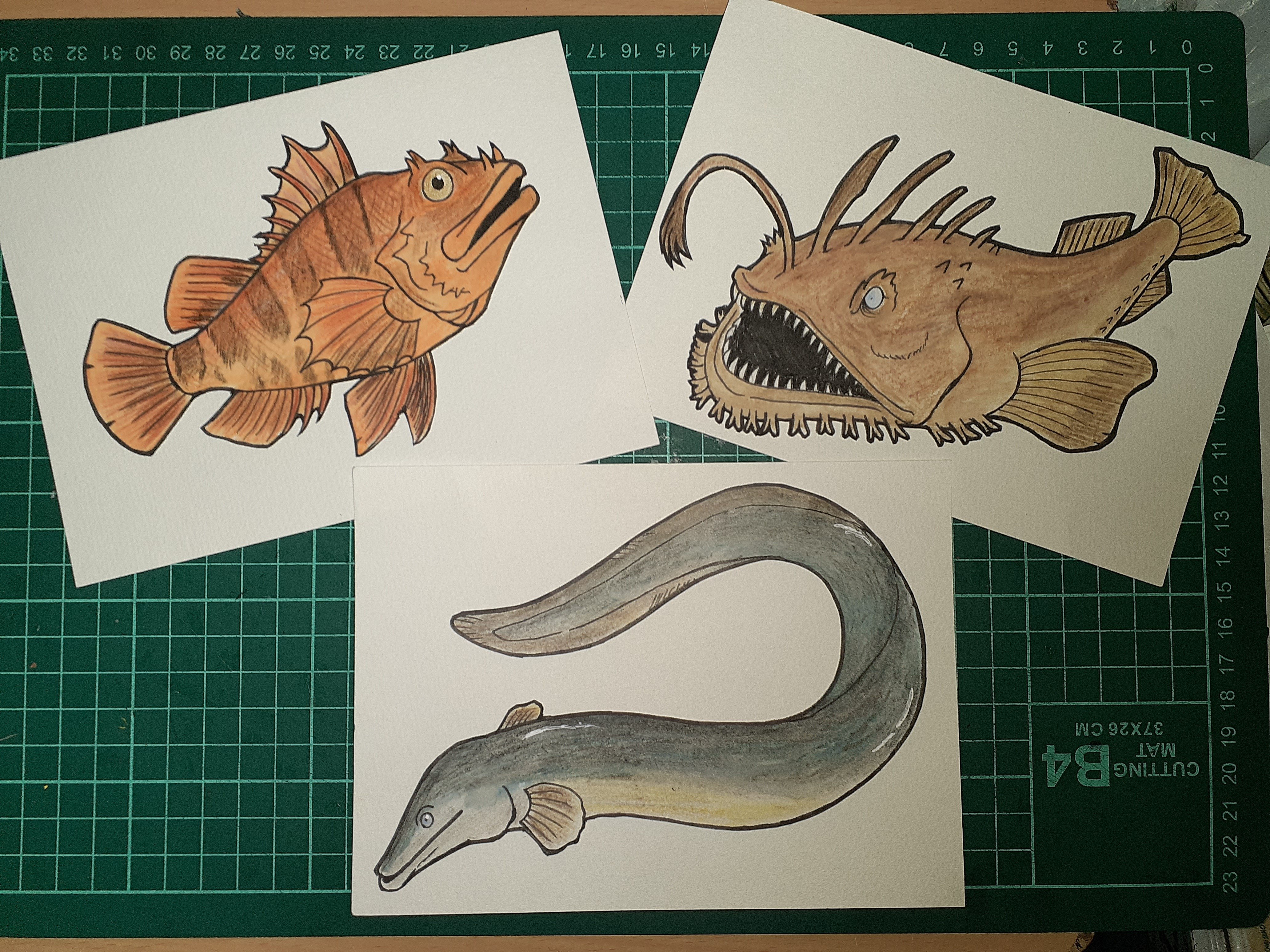 イラスト】魚…何題？｜TechpanCreate（テクパン・クリエイト）