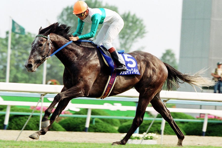 メジロマックイーン芦毛の最強ステイヤー｜かず