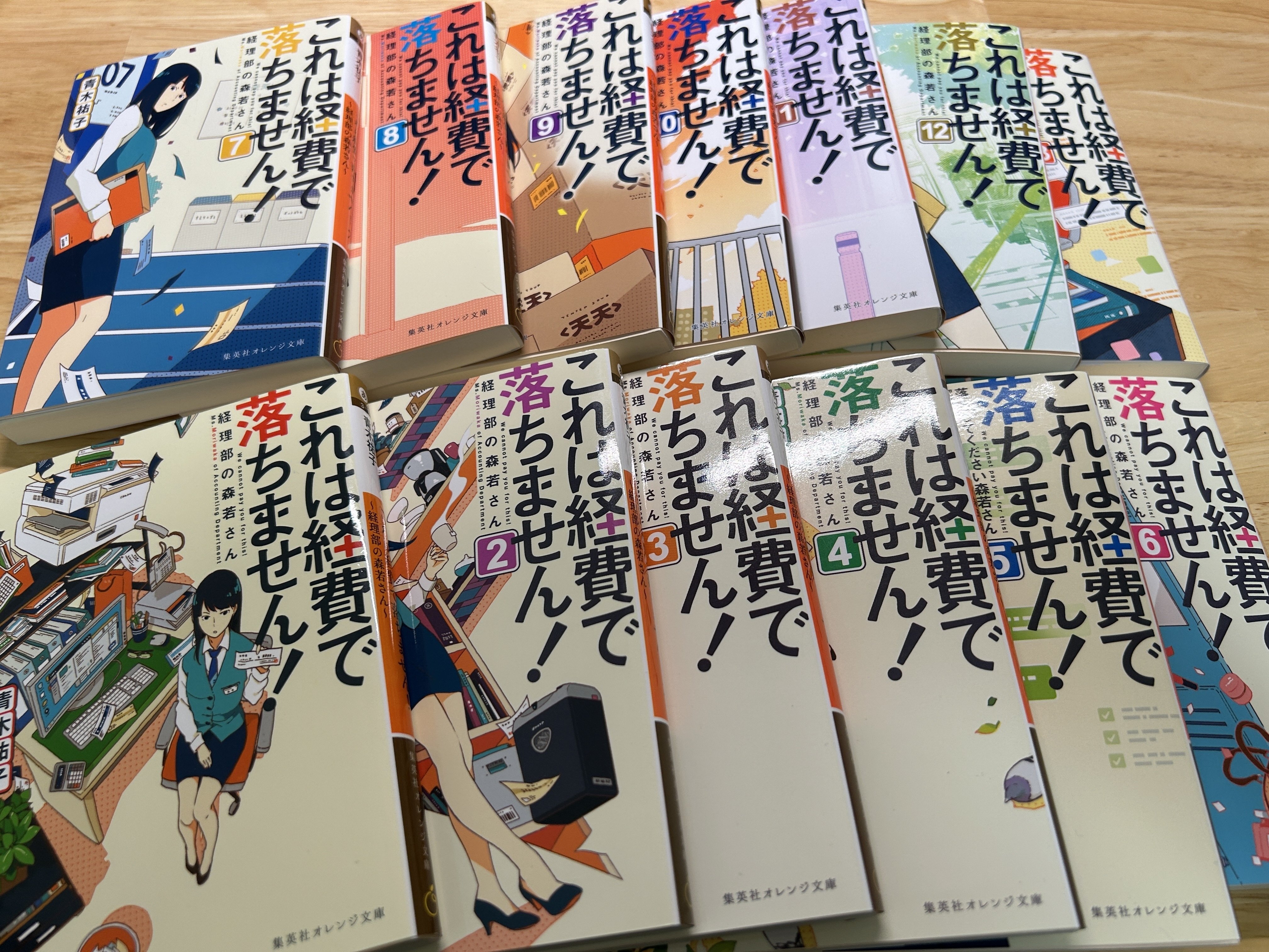 小説35冊まとめ 2025年ハマった『シリーズ小説』3選｜有竹
