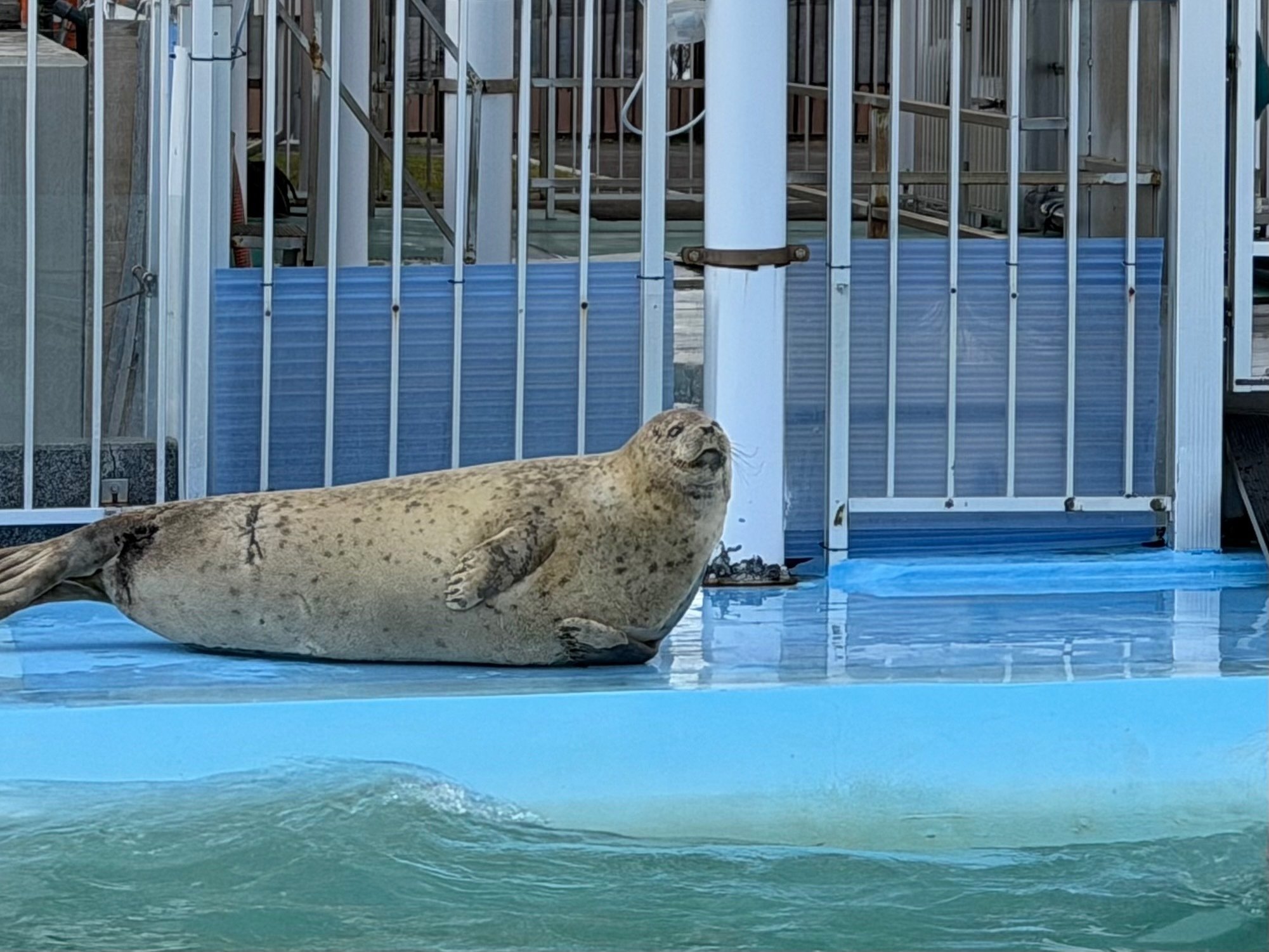 2025オホーツクとっかりセンター旅行記｜ぶるぶる