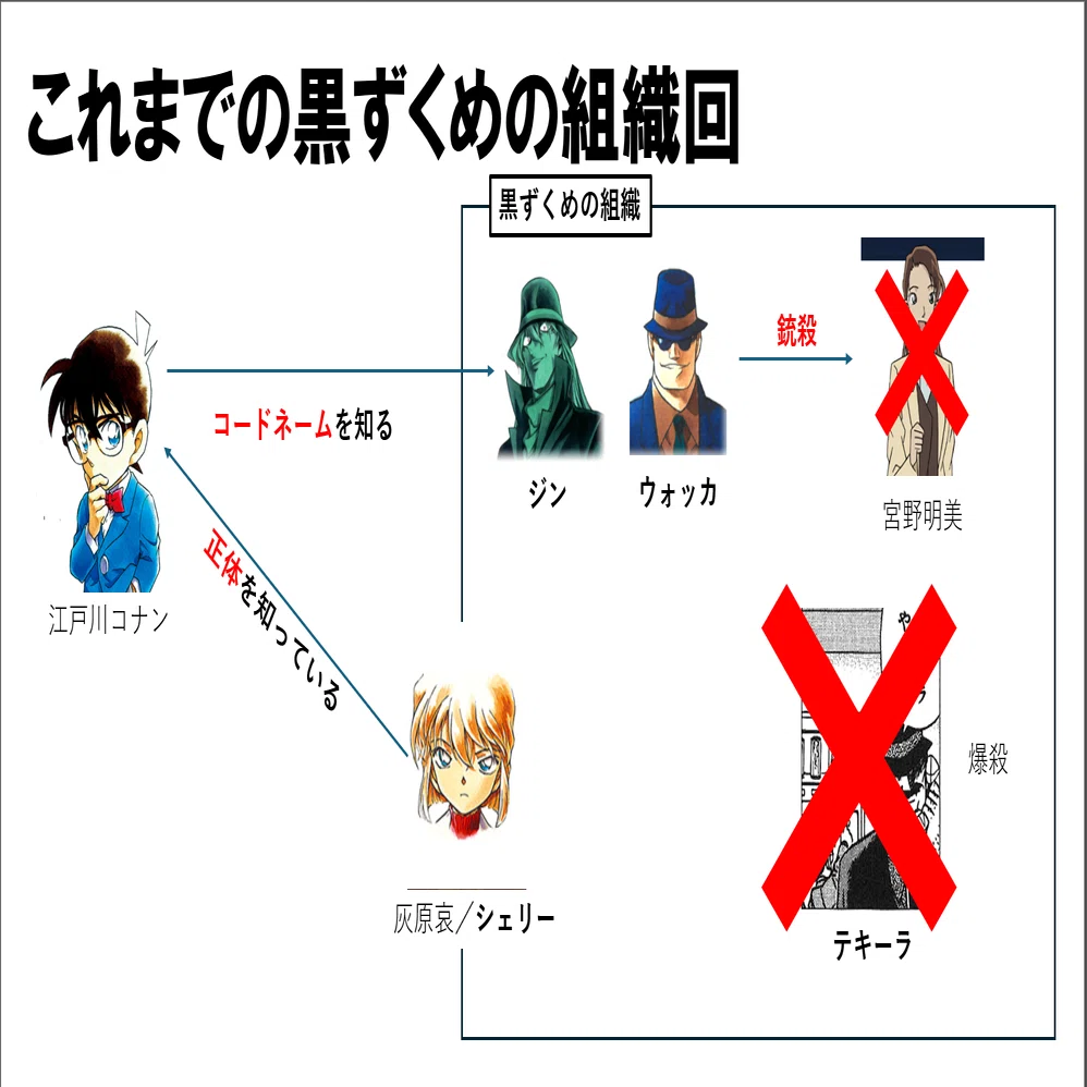 (未使用･未開封品)名探偵コナン 黒の組織から来た女 大学教授殺人事件(期間限定スペシャルプライス盤) [DVD] 名探偵コナン 黒の組織から来た女 大学教授殺人事件 初回限定生産