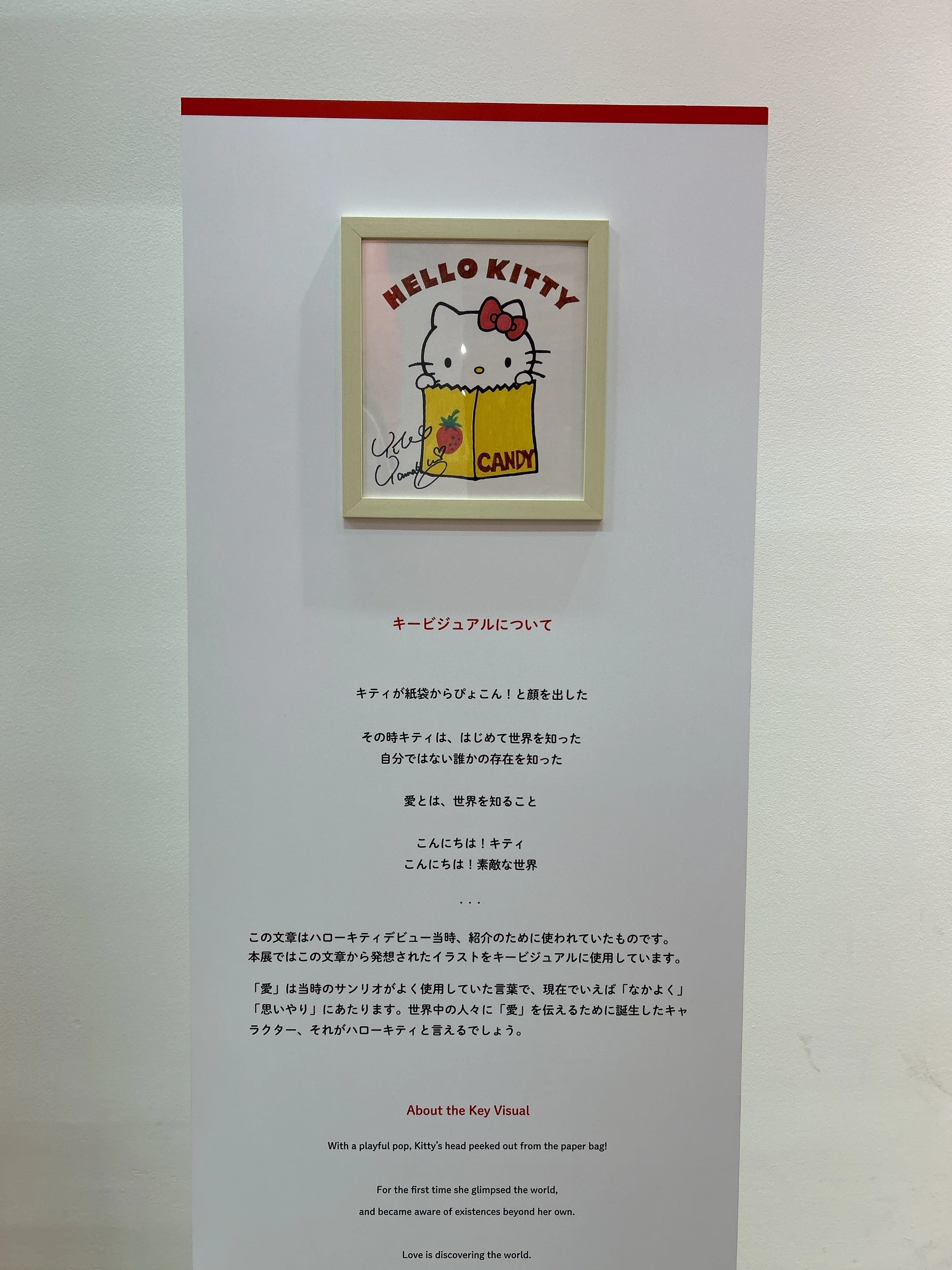 京セラ美術館/ハローキティ展に行ってきた🎀｜糸