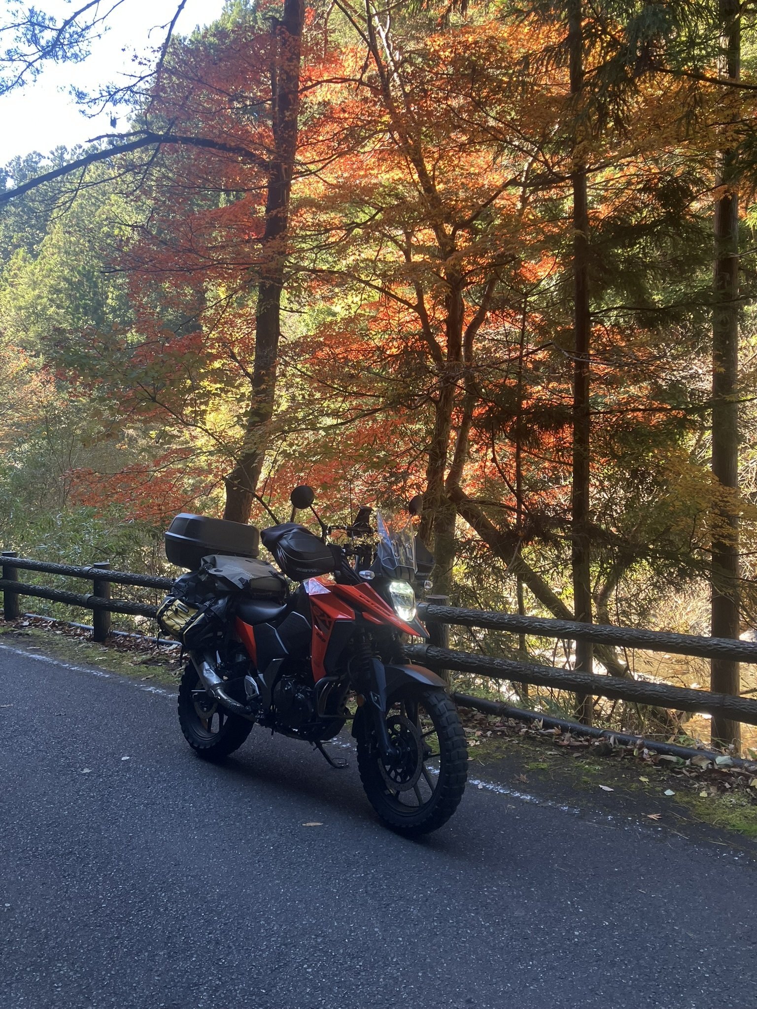 高野山の“裏ルート”を走る。市道と町道をつないで見つけた