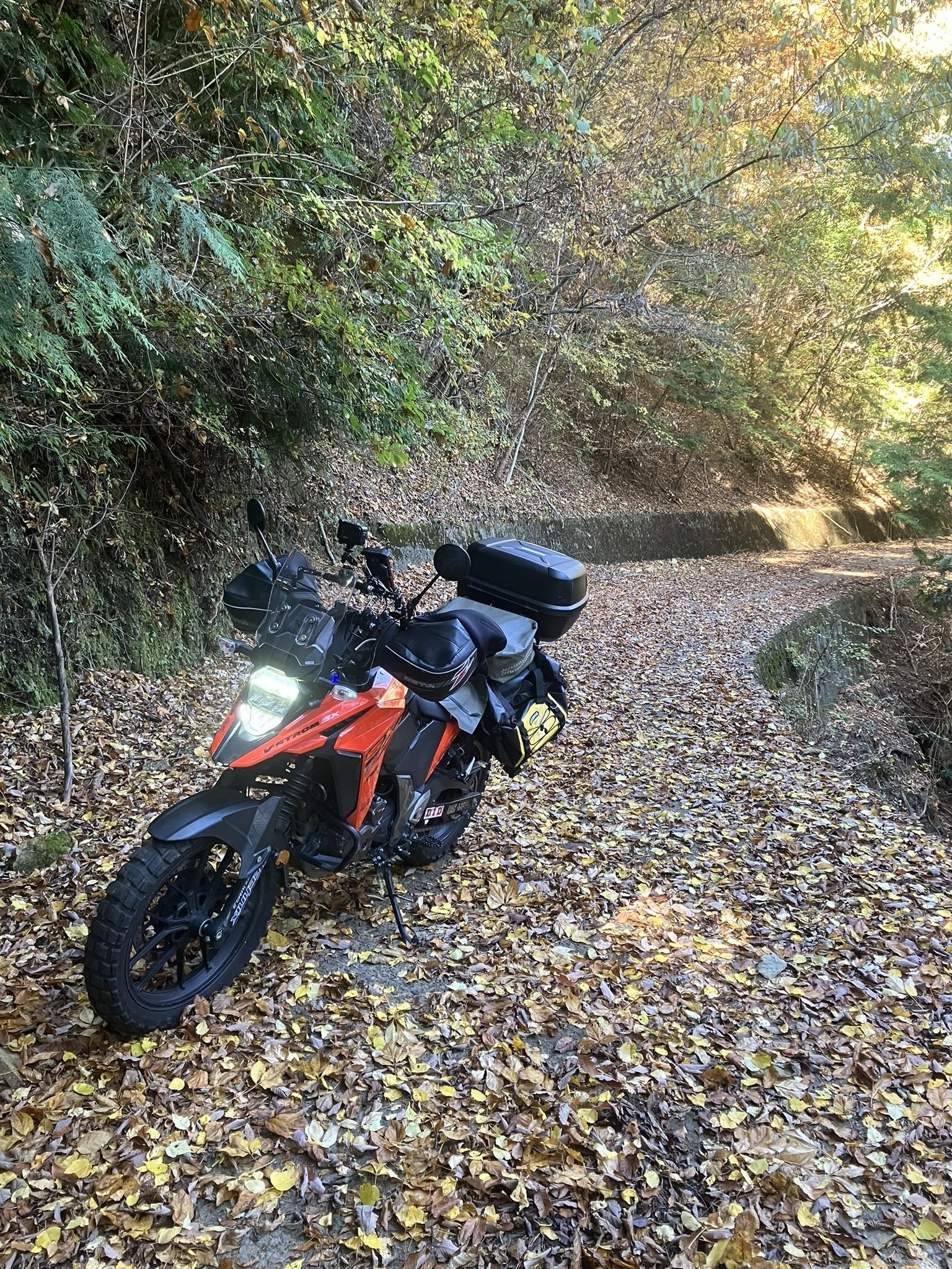 高野山の“裏ルート”を走る。市道と町道をつないで見つけた