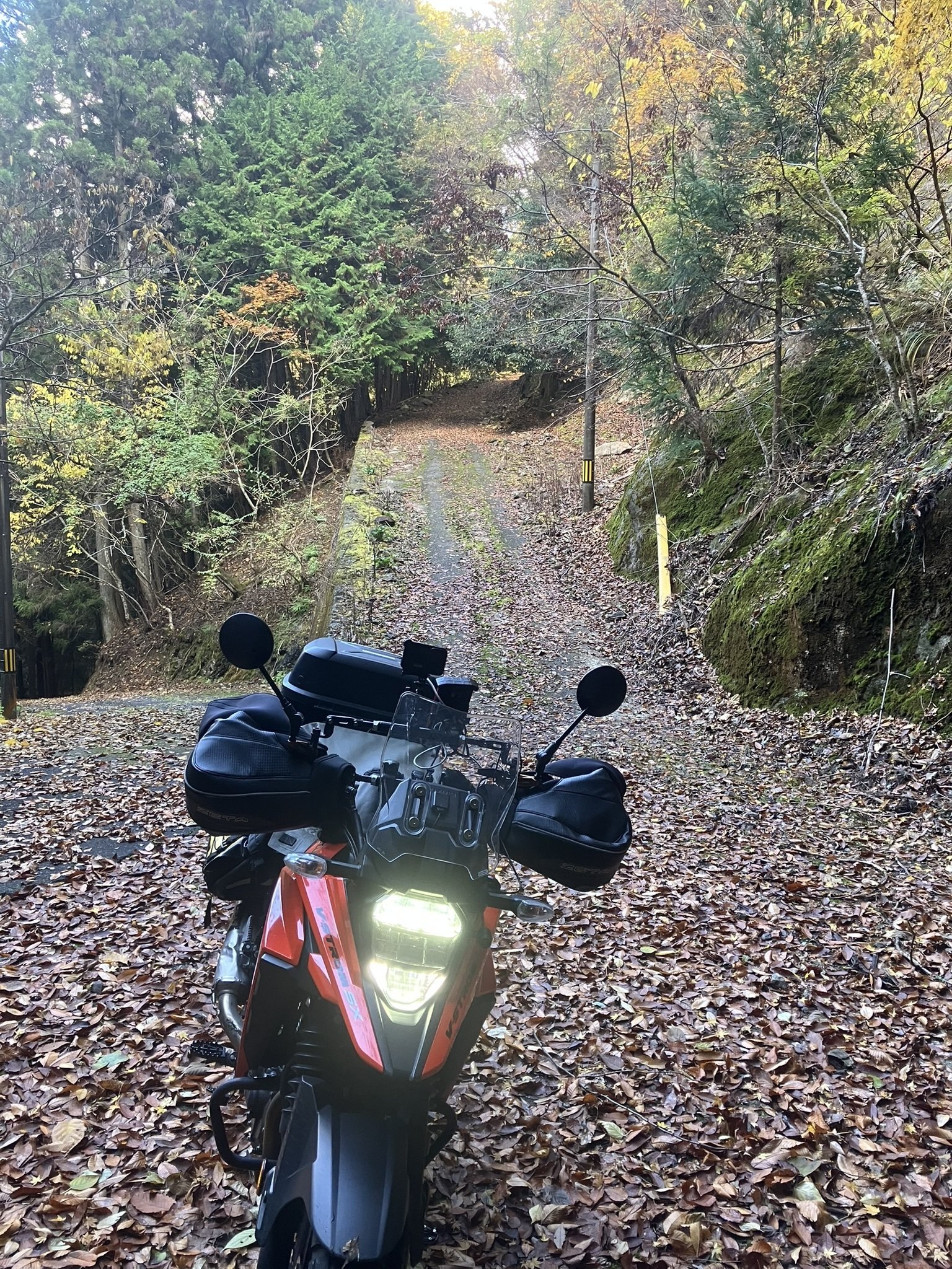 高野山の“裏ルート”を走る。市道と町道をつないで見つけた