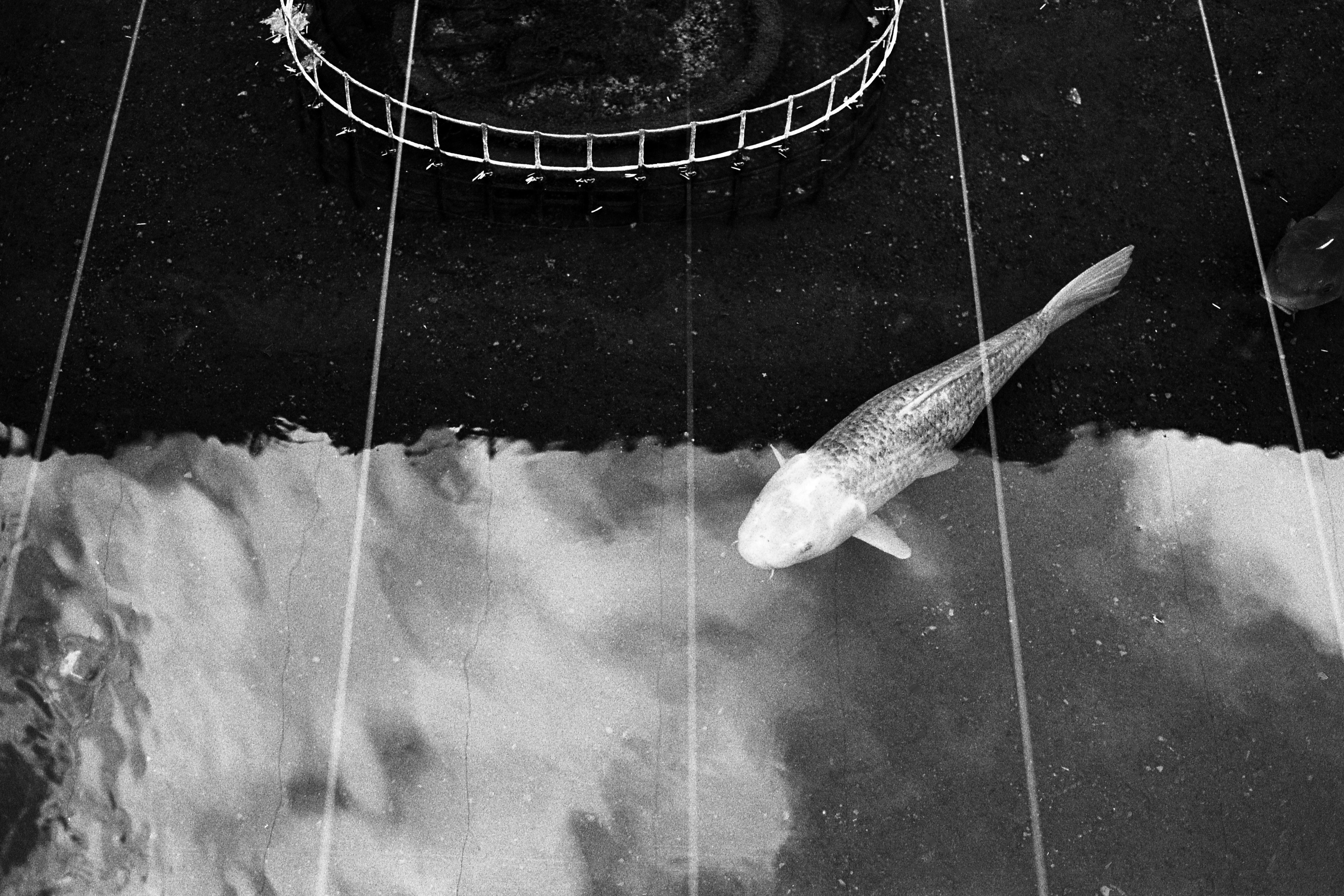 悲しい風景。 〜 Tri-Xで万全 〜｜Miyake