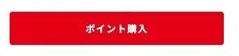 「 ポイント購入 」