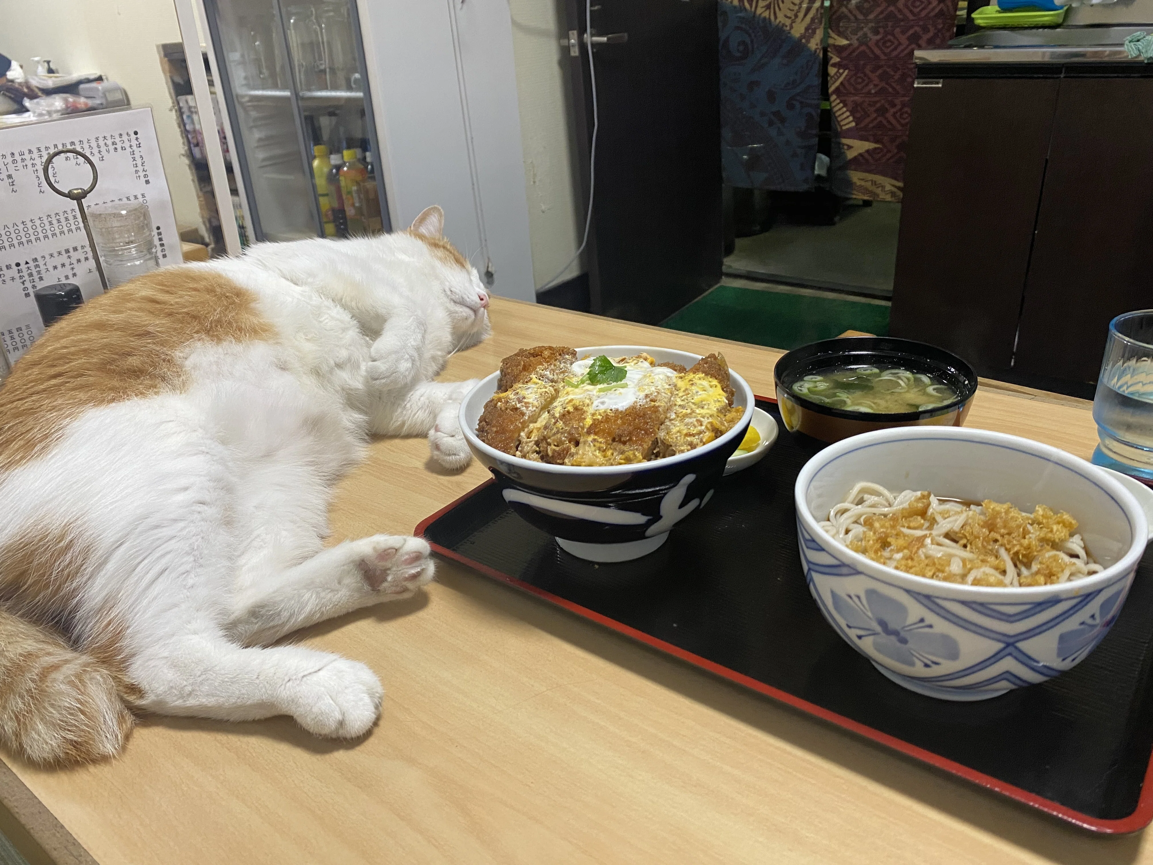 003 猫食堂開店！ 2匹の看板猫に癒されるお蕎麦屋さん｜タビジロウ🏖猫