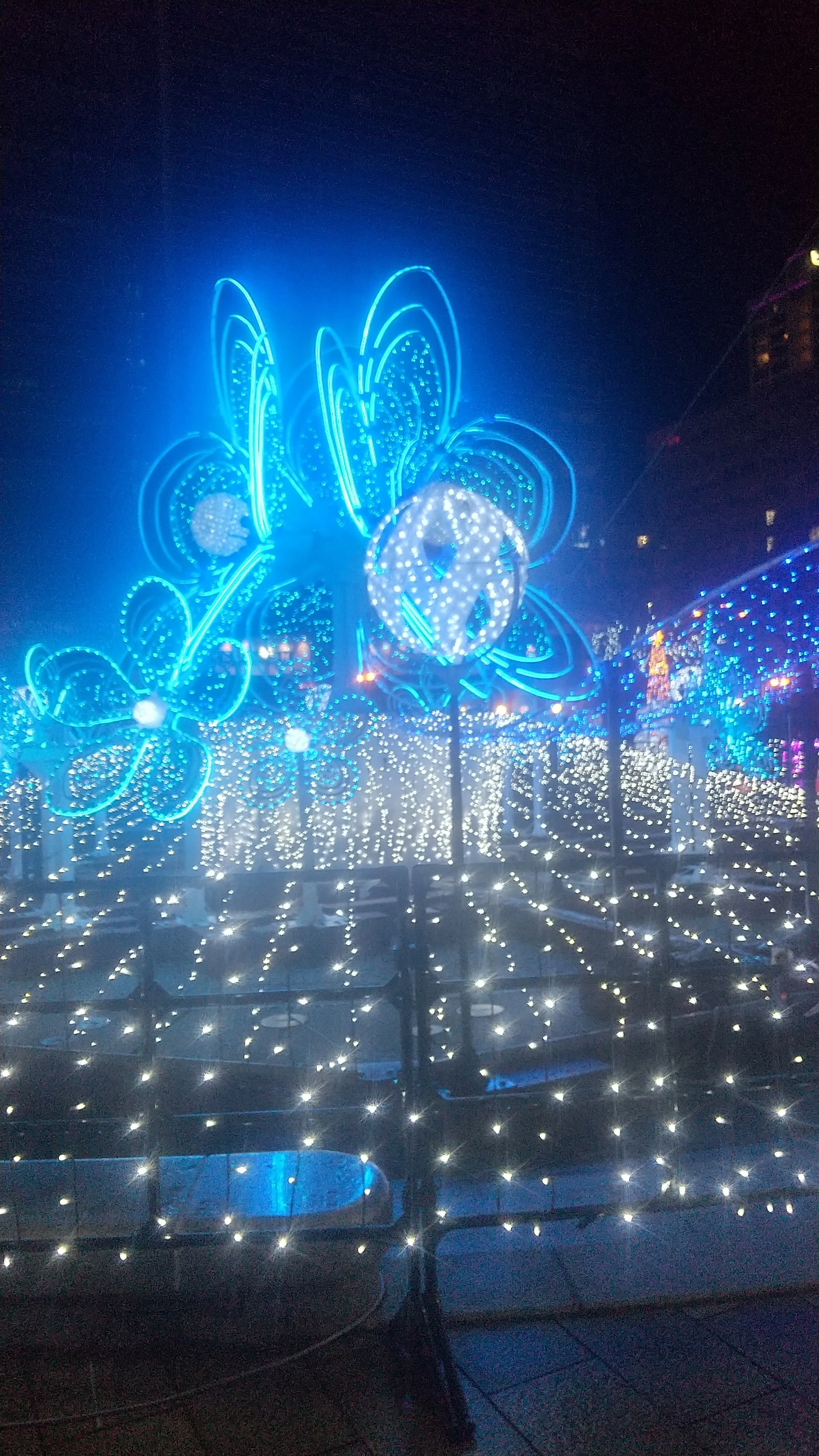 2025/12/06 Sapporo White Illumination (The image is from the past