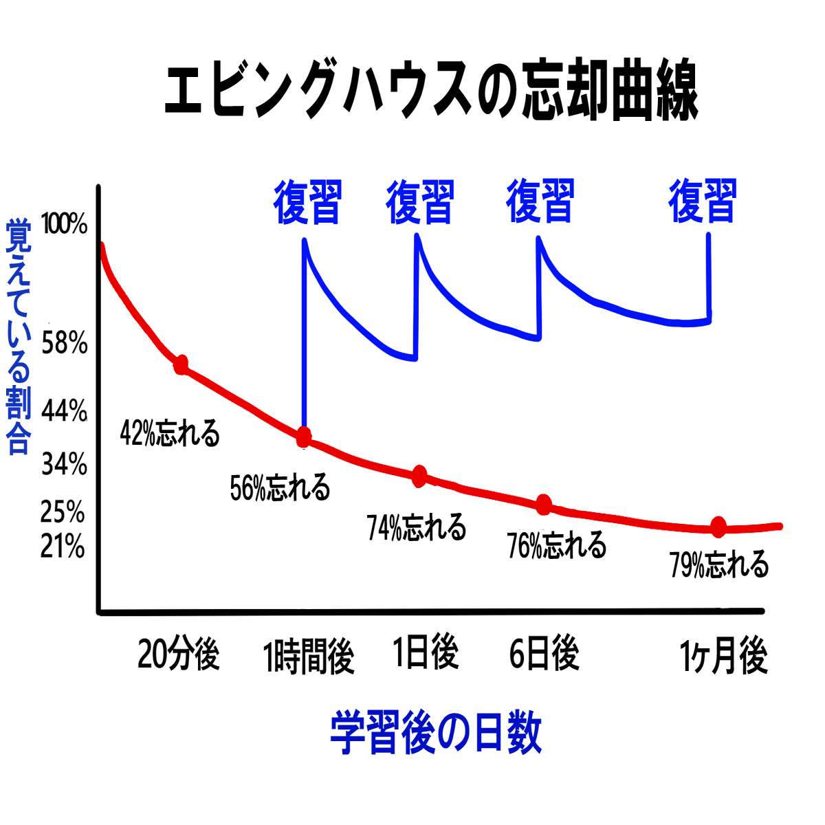 英単語帳『Distinction 2000』使い方まとめ＆レビュー｜AYN