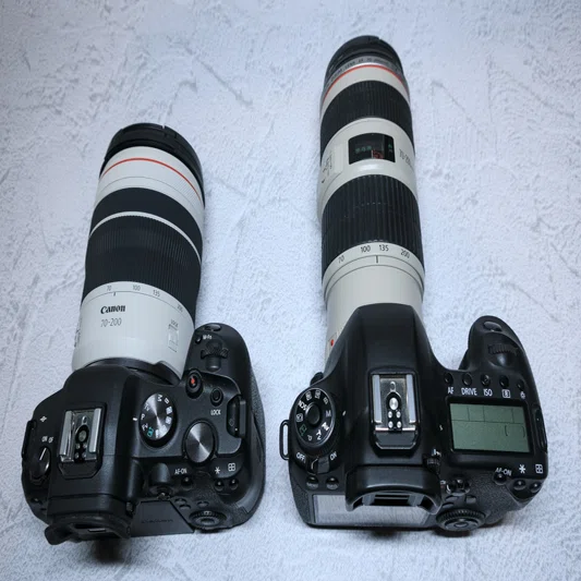 デジタル一眼レフ EOS 6D から ミラーレス一眼 EOS R6 へ｜山口県の