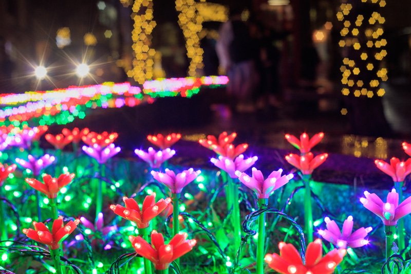 Industar 61 L/Z-MC 50mm F2.8 の星ボケ作例付きレビュー｜fuji