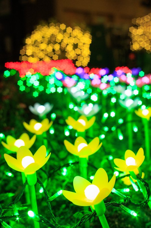 Industar 61 L/Z-MC 50mm F2.8 の星ボケ作例付きレビュー｜fuji